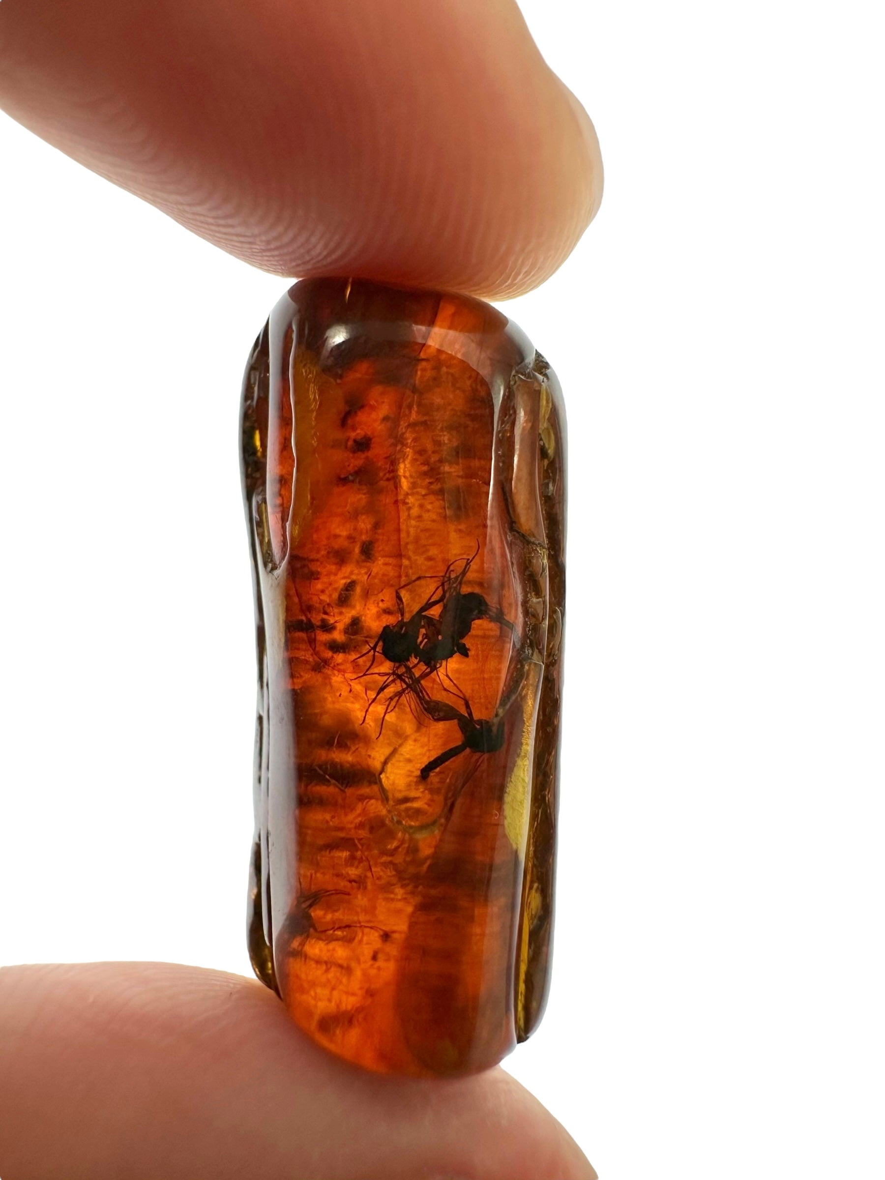 Insects in amber 2,7g – Lithuania