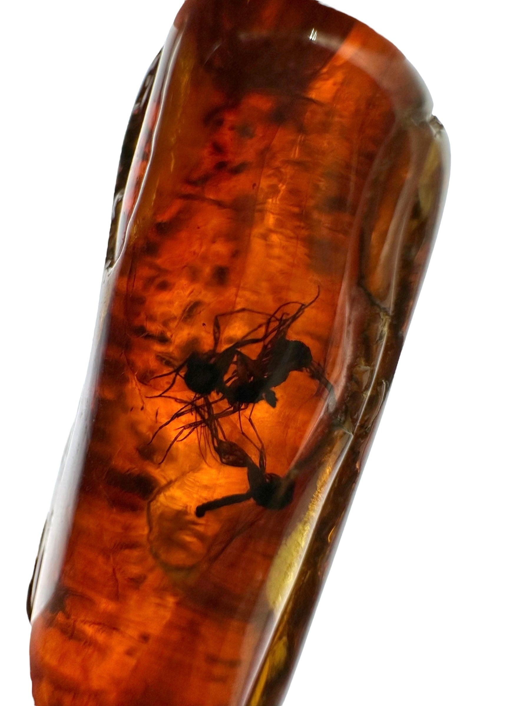 Insects in amber 2,7g – Lithuania - IJ130