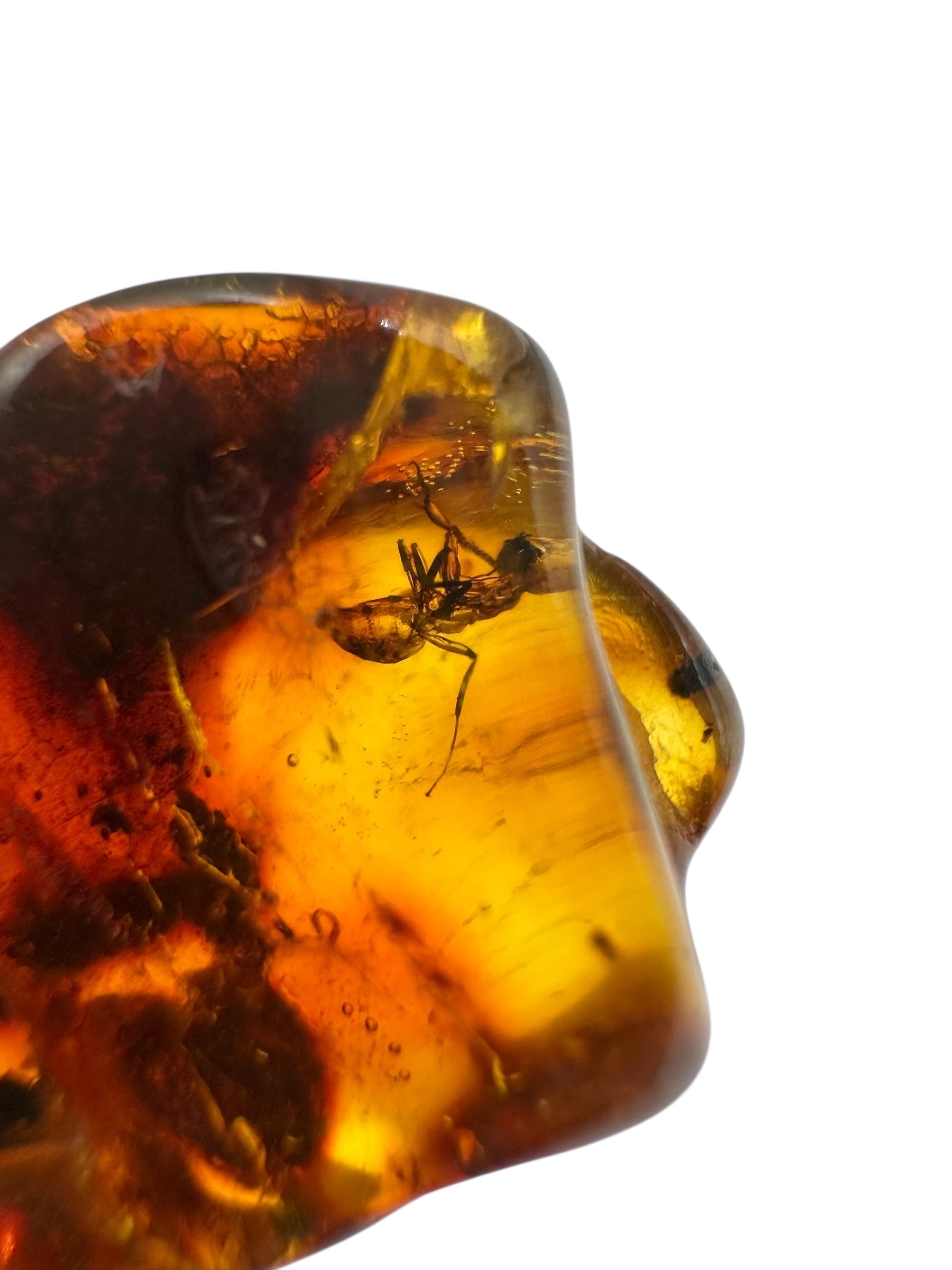 Insects in amber 2,2g – Lithuania – ant - IJ131
