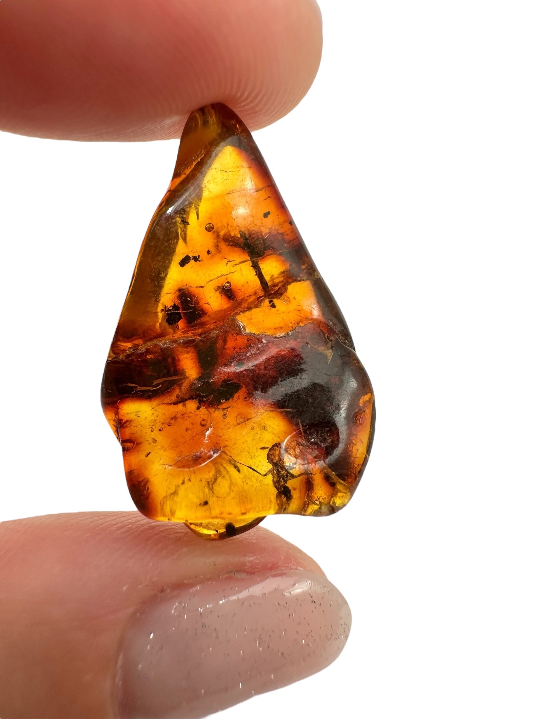 Insects in amber 2,2g – Lithuania – ant - IJ131