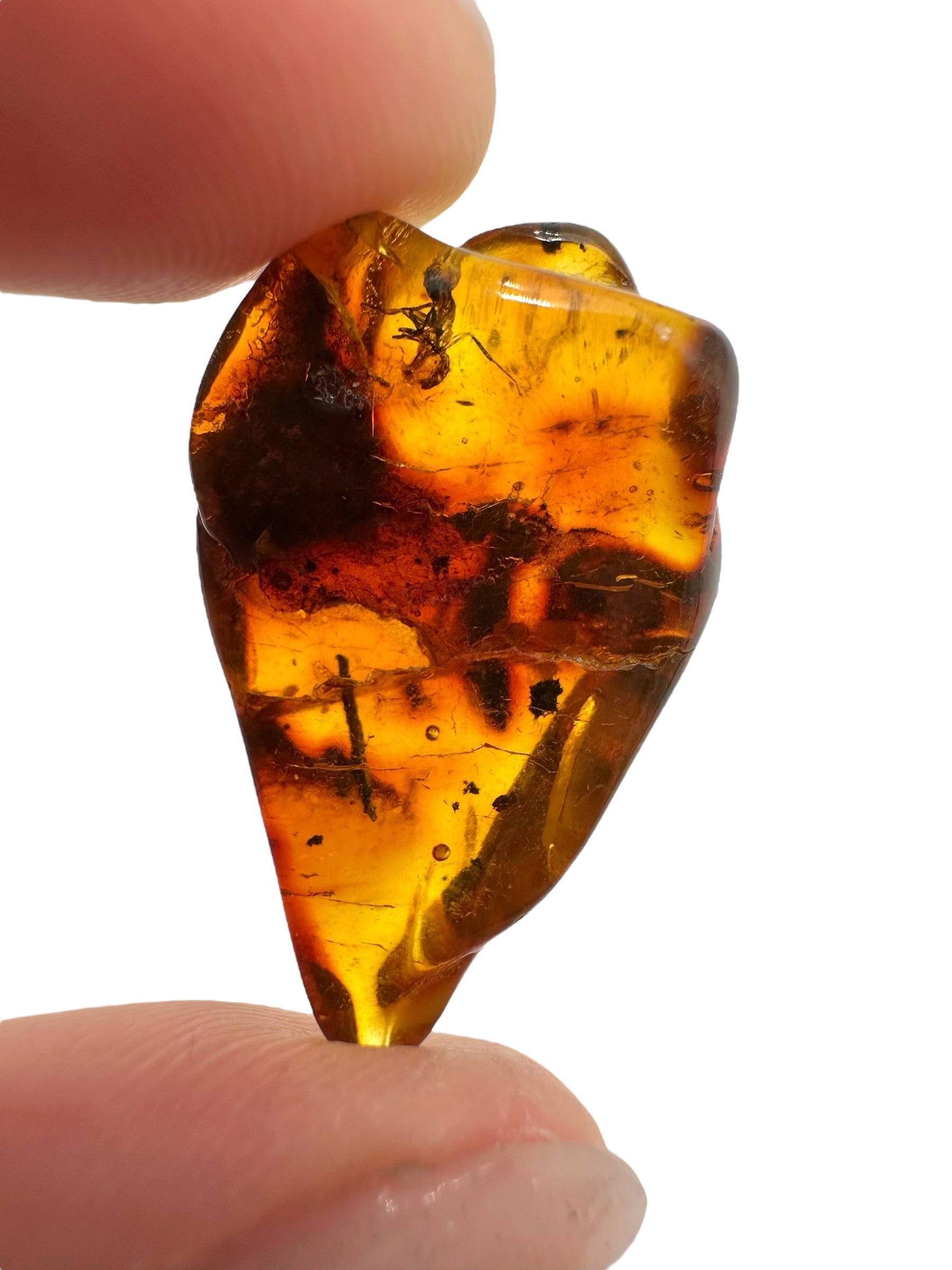 Insects in amber 2,2g – Lithuania – ant