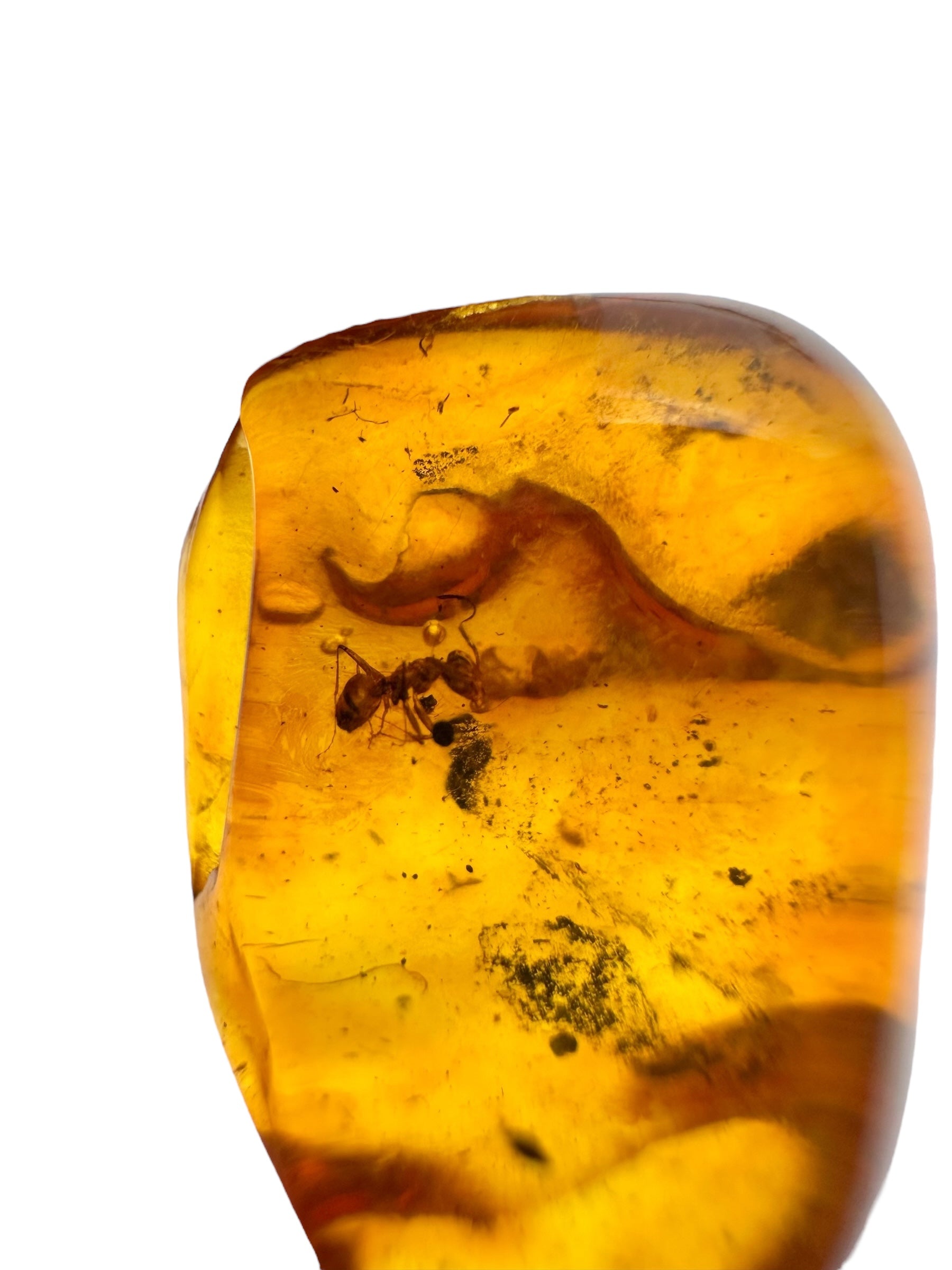 Insects in amber 1,4g – Lithuania – ant - IJ132