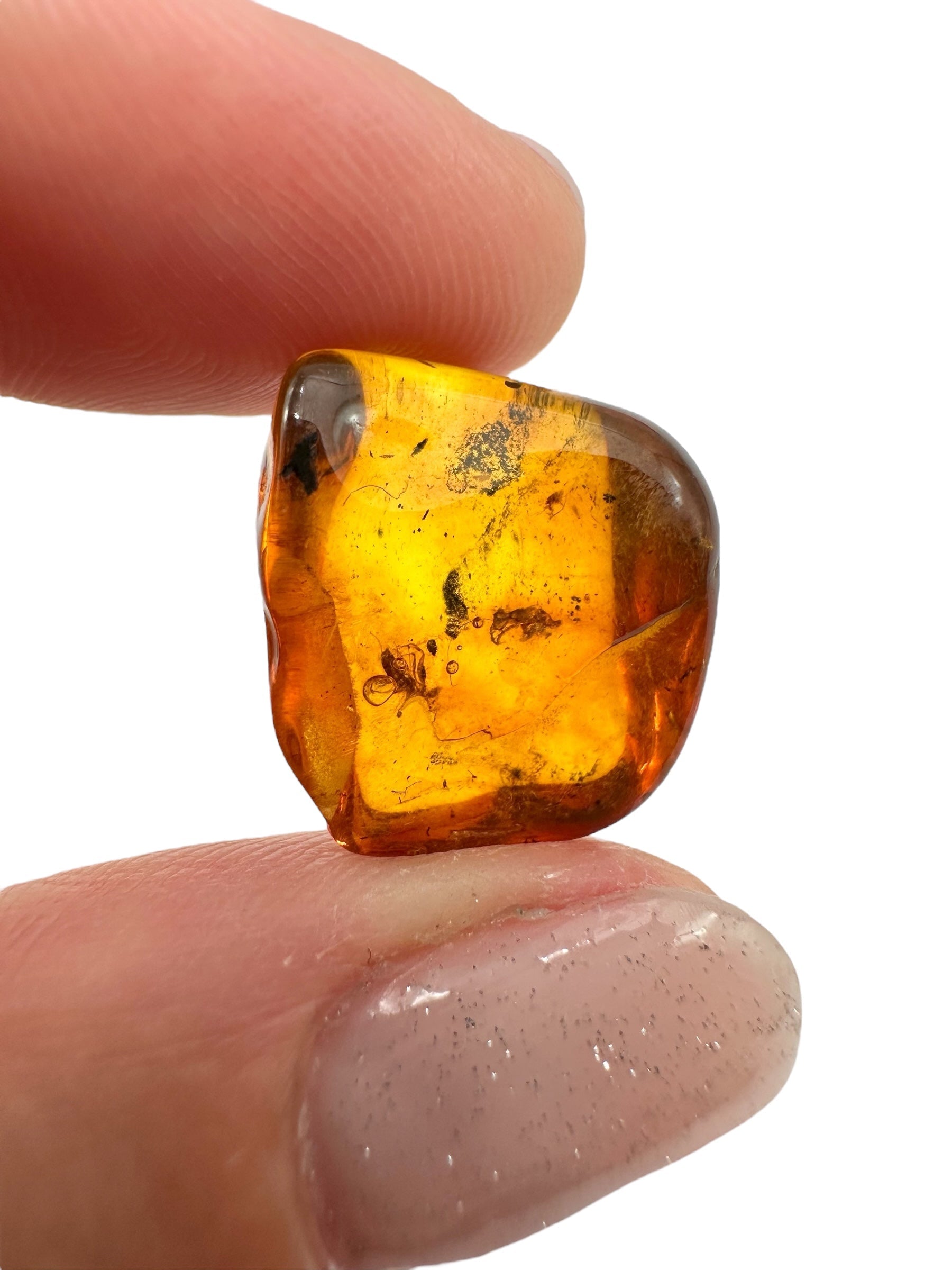 Insects in amber 1,4g – Lithuania – ant - IJ132
