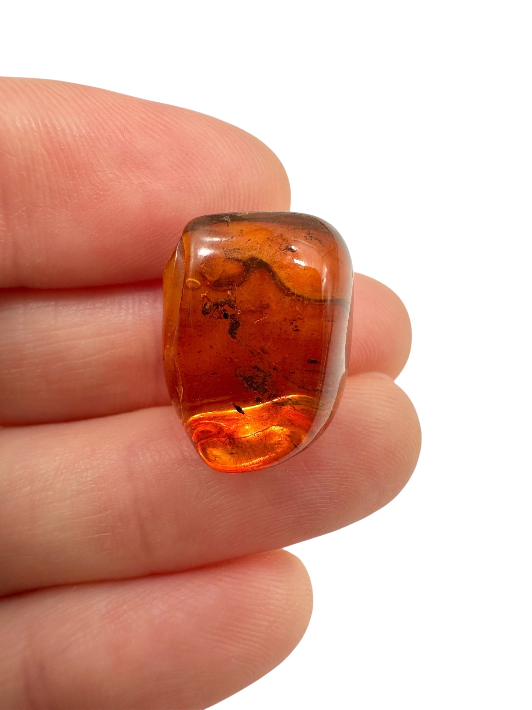 Insects in amber 1,4g – Lithuania – ant - IJ132