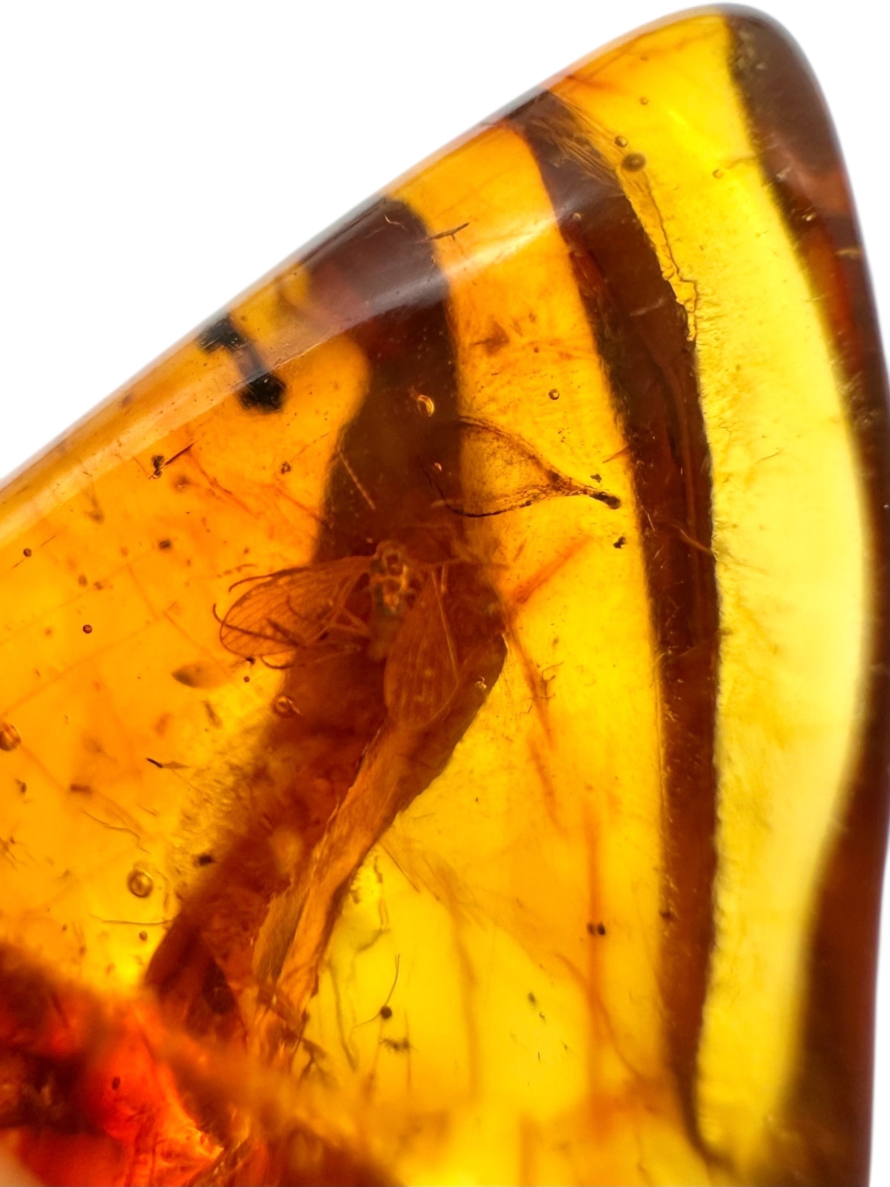 Insects in amber 1,3g – Lithuania - IJ133