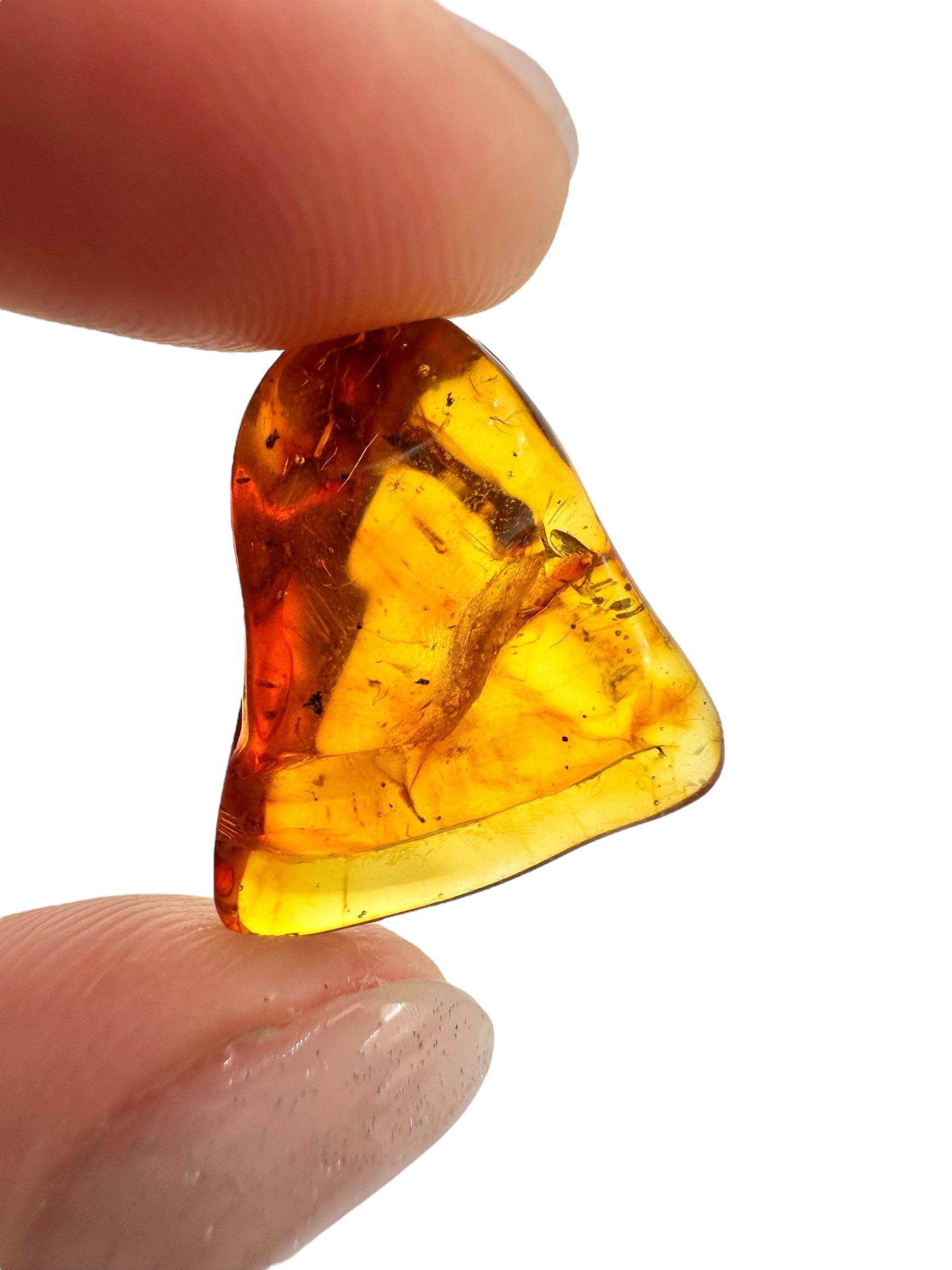 Insects in amber 1,3g – Lithuania - IJ133