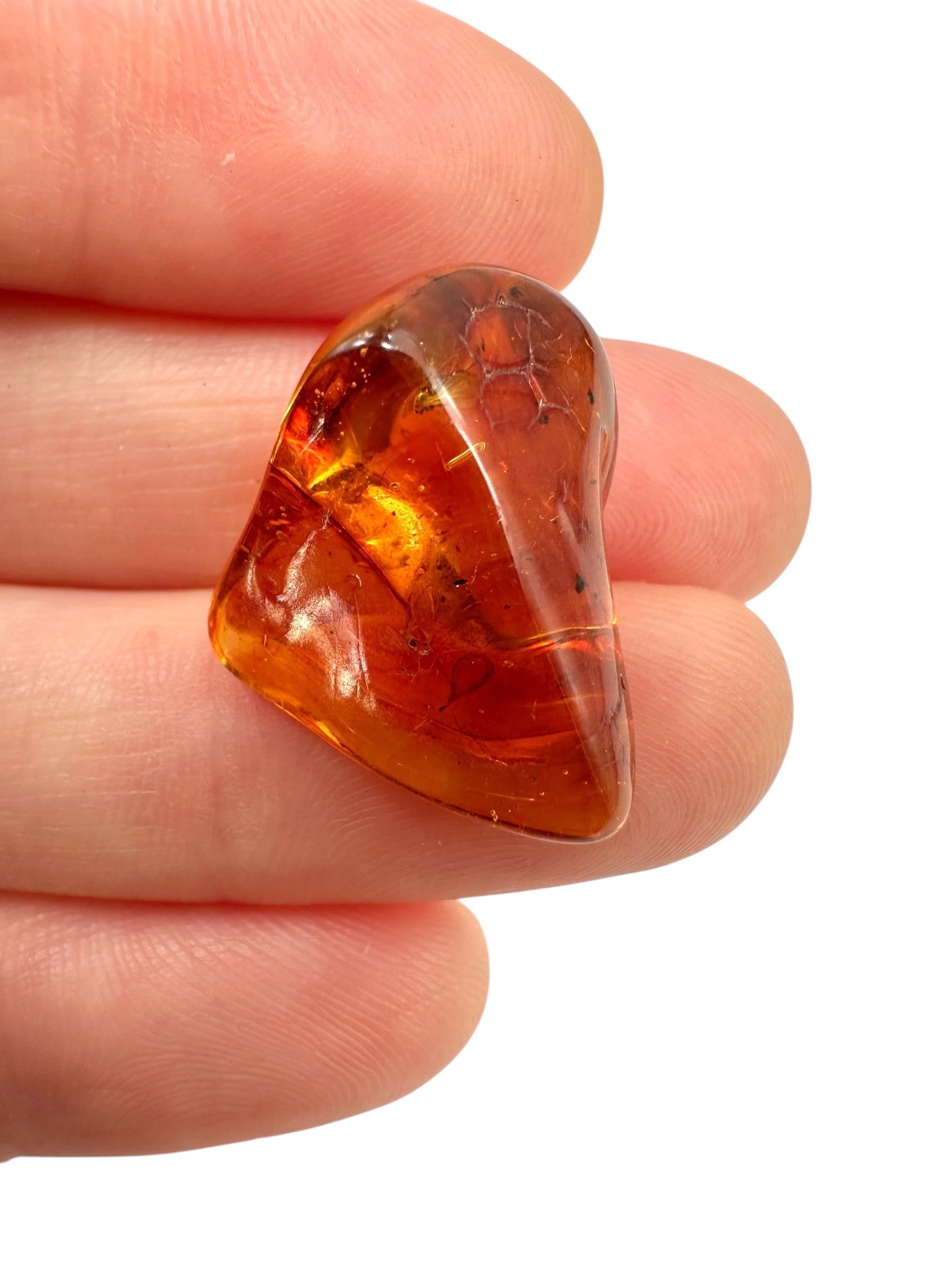 Insects in amber 1,3g – Lithuania - IJ133