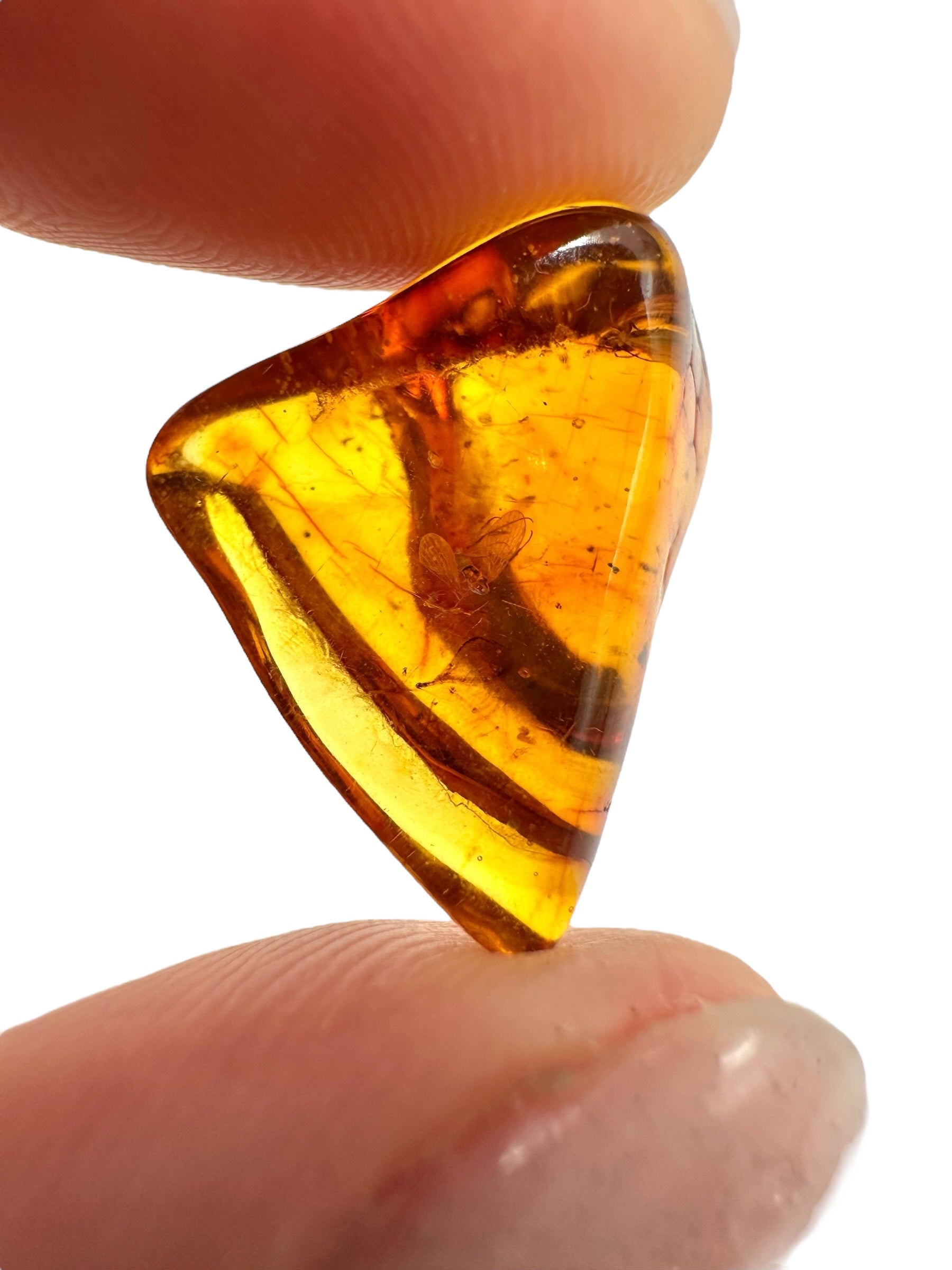 Insects in amber 1,3g – Lithuania