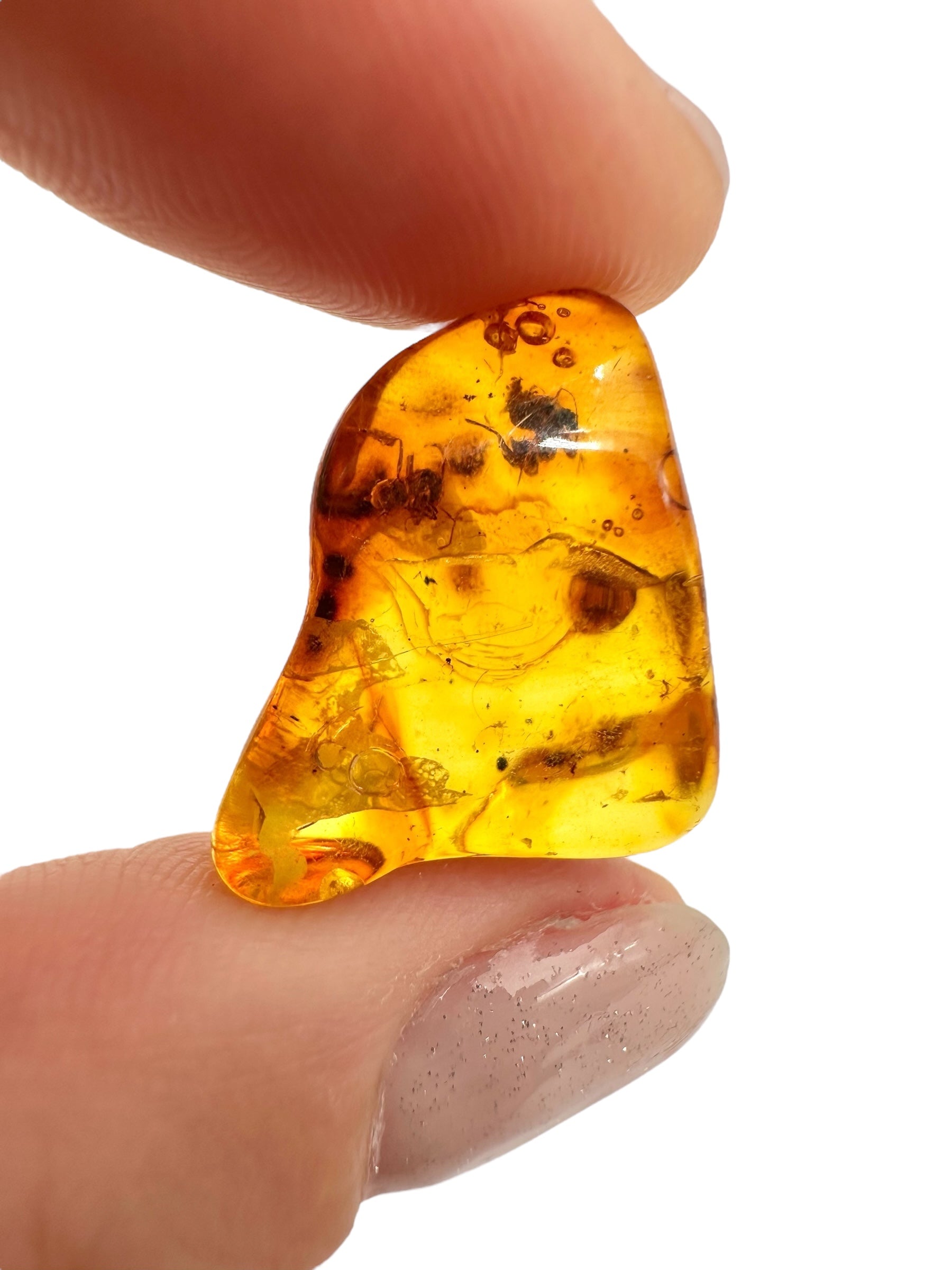Insects in amber 2g – Lithuania - IJ135