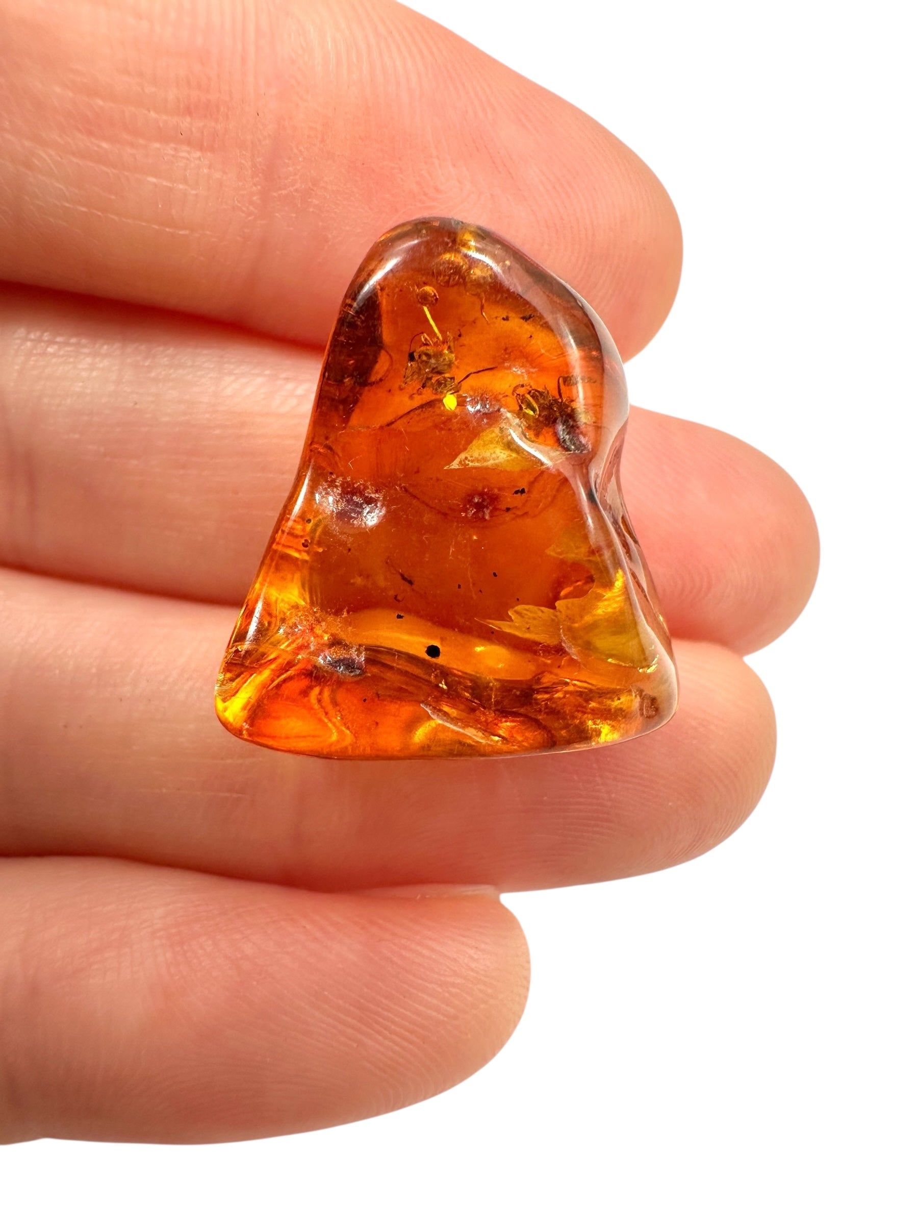 Insects in amber 2g – Lithuania - IJ135
