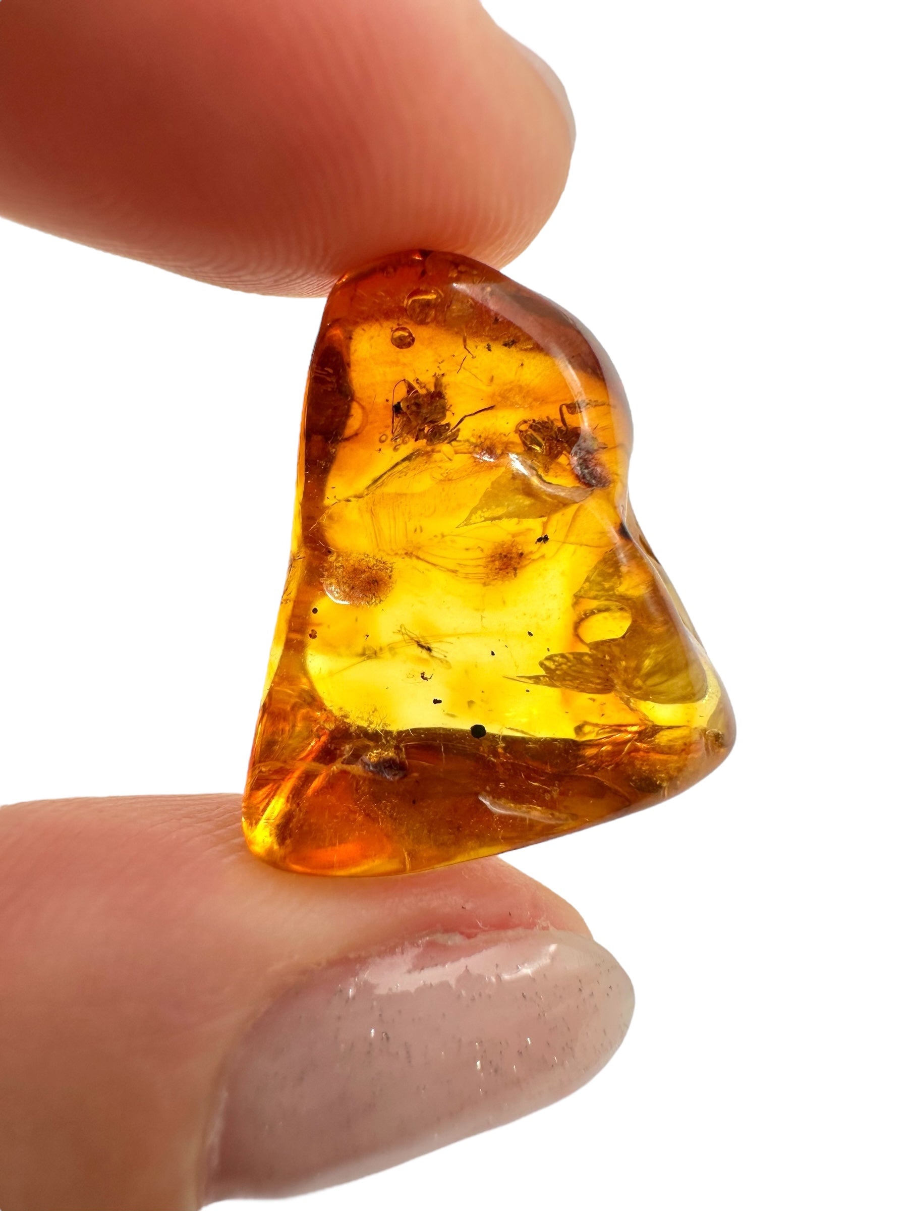 Insects in amber 2g – Lithuania