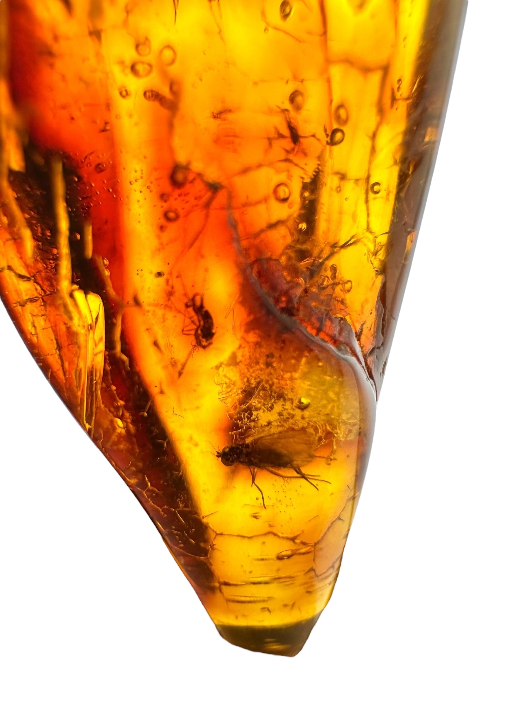 Insects in amber 2,5g – Lithuania - IJ137