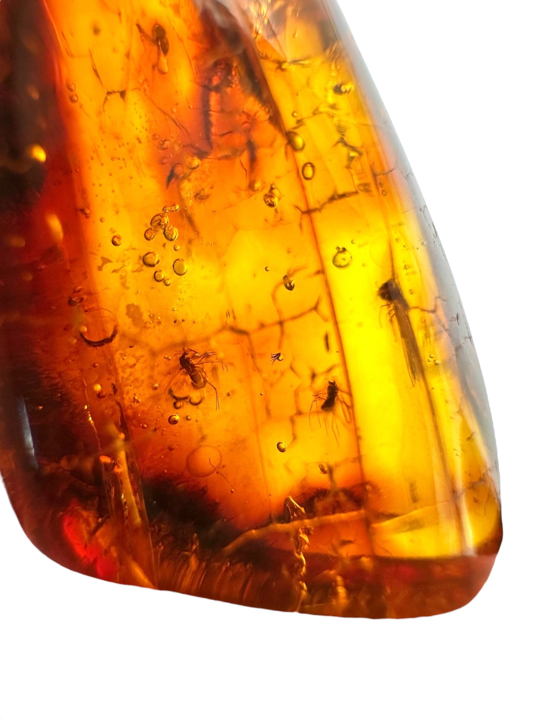 Insects in amber 2,5g – Lithuania - IJ137