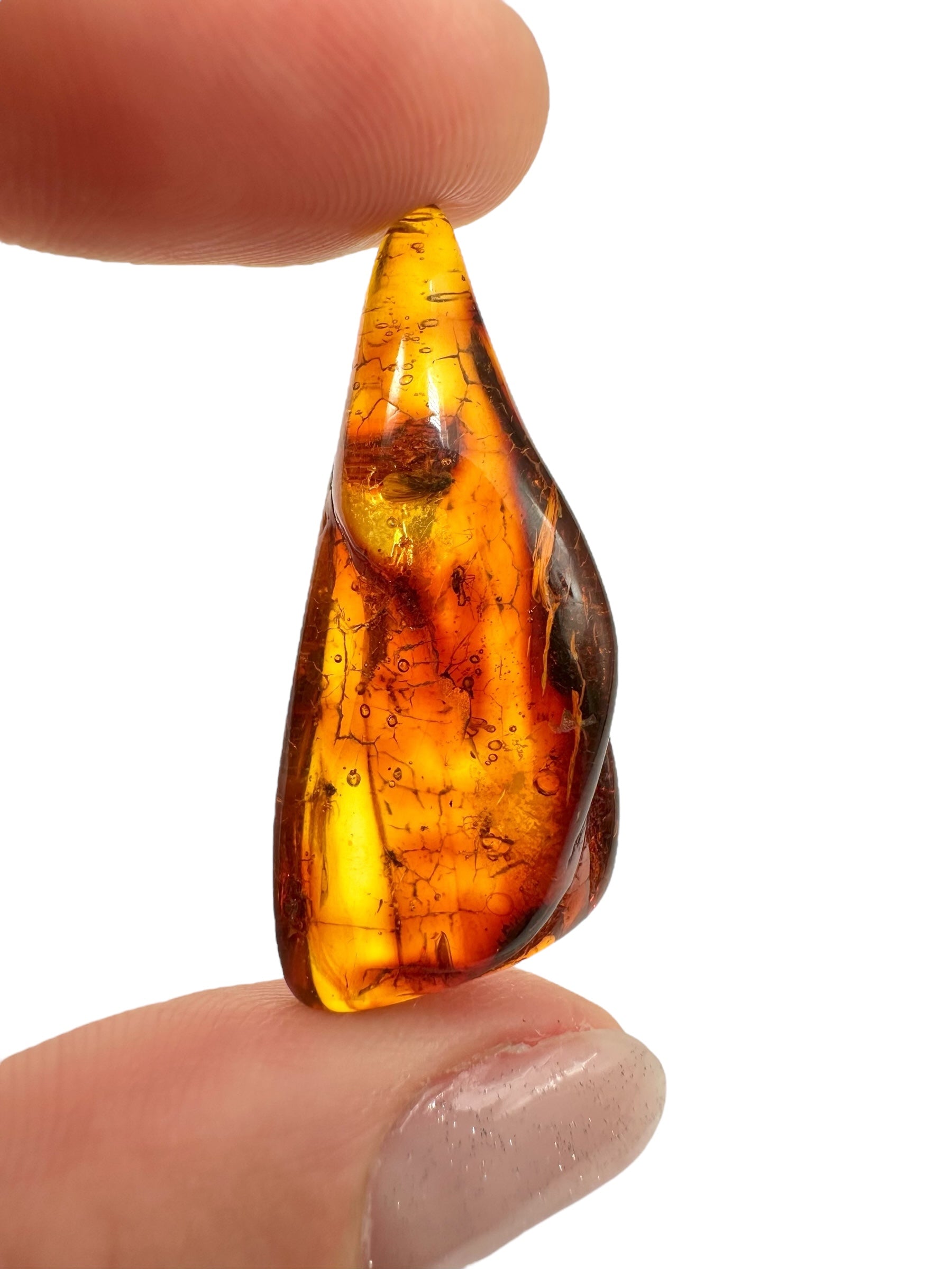 Insects in amber 2,5g – Lithuania - IJ137