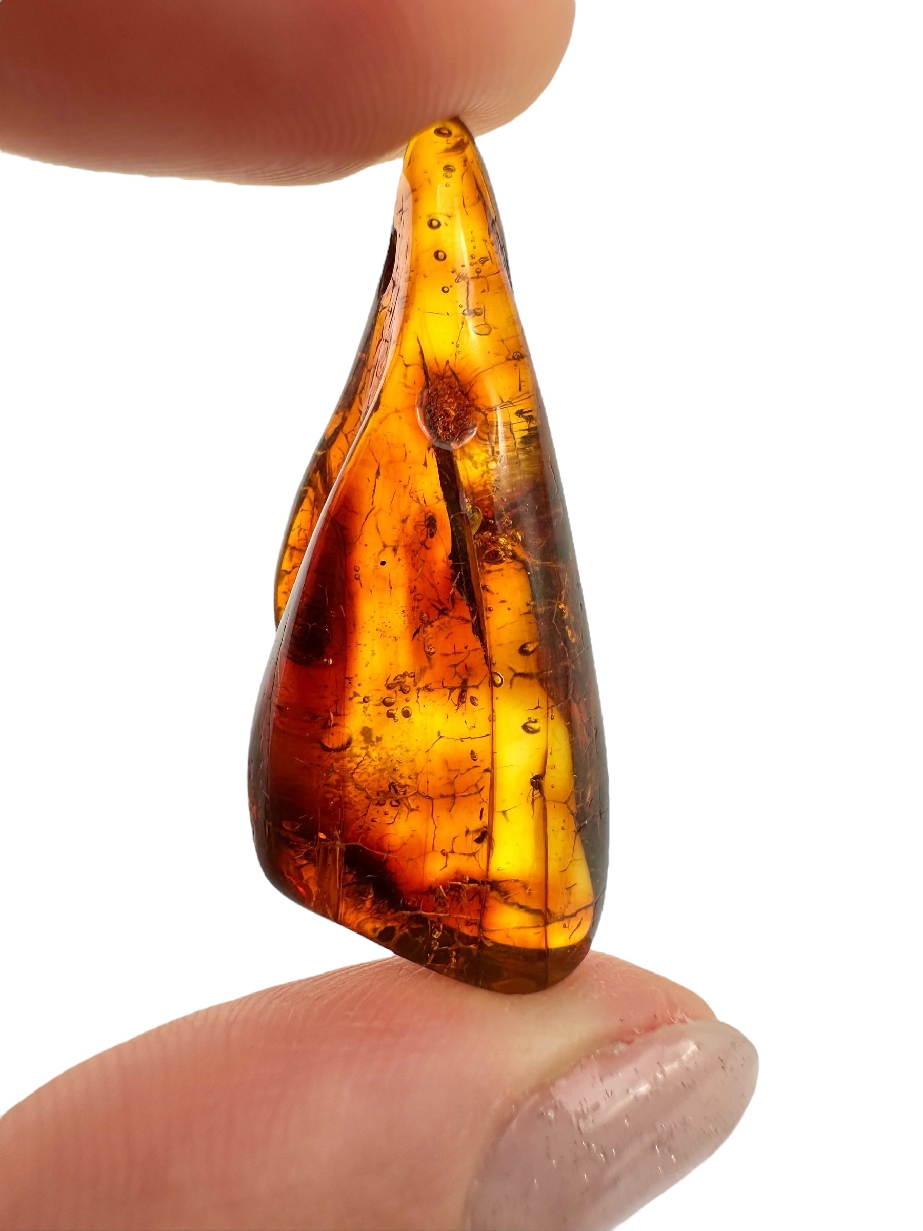 Insects in amber 2,5g – Lithuania