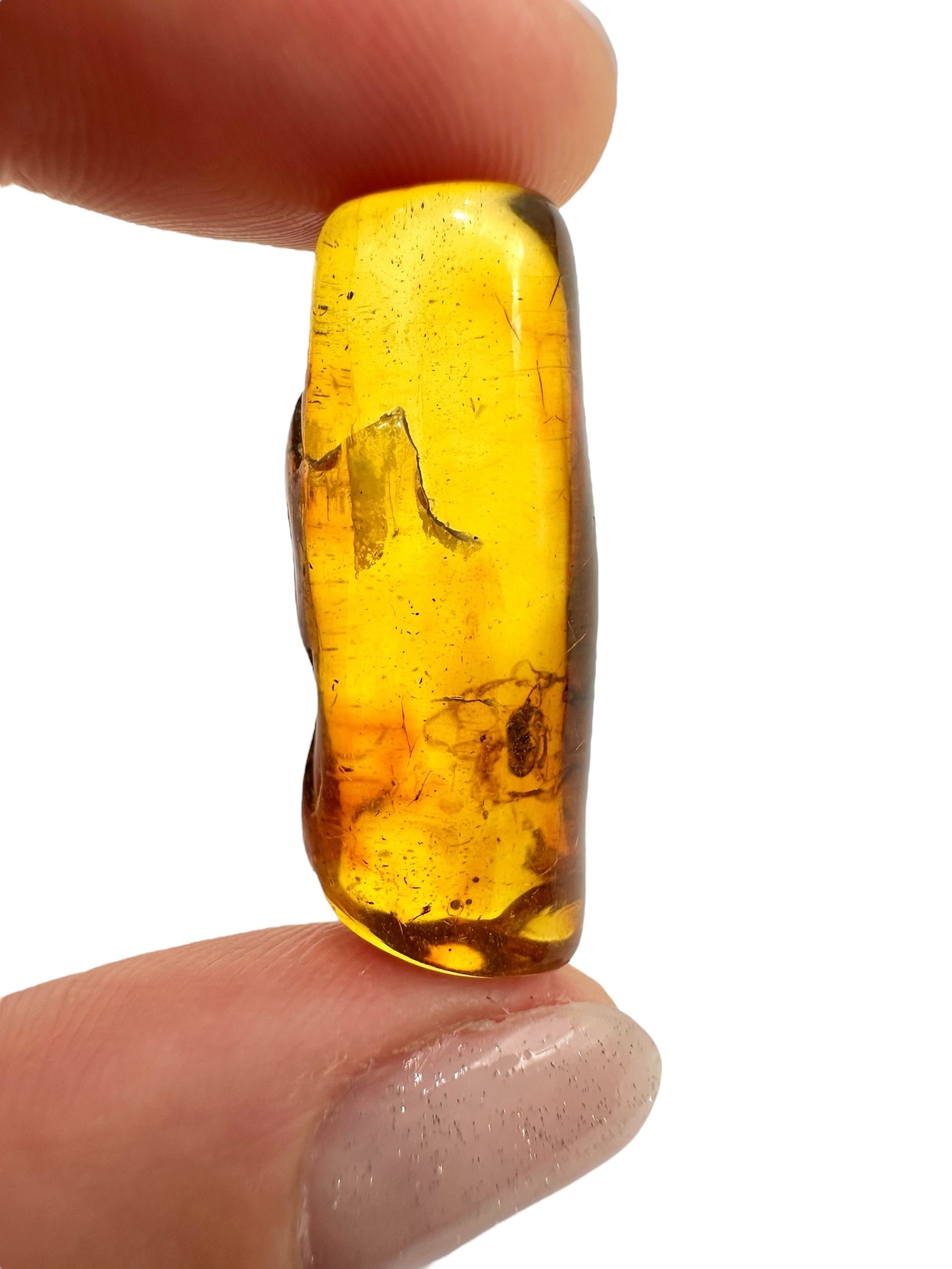 Insects in amber 2,5g – Lithuania - IJ138