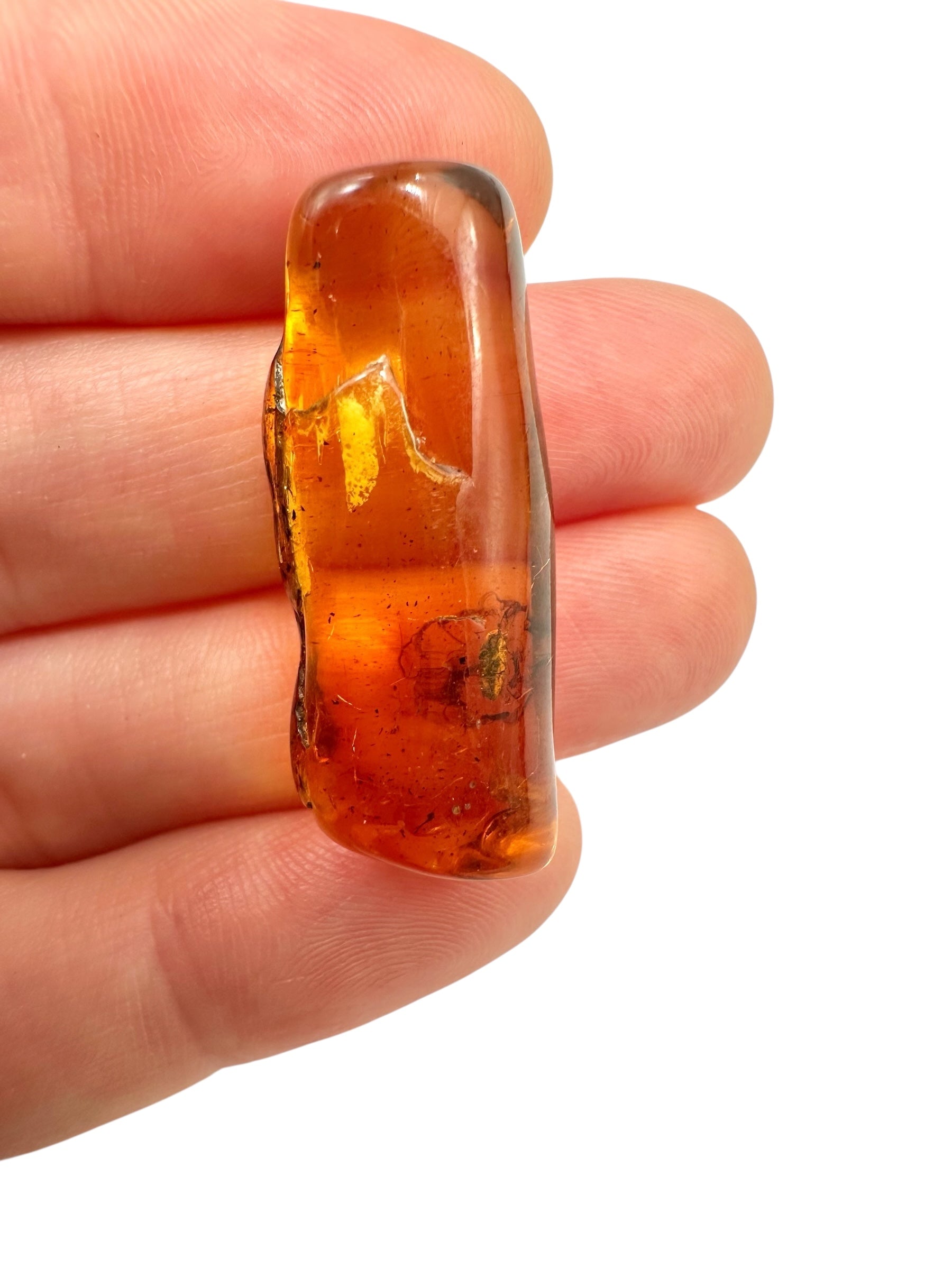 Insects in amber 2,5g – Lithuania - IJ138
