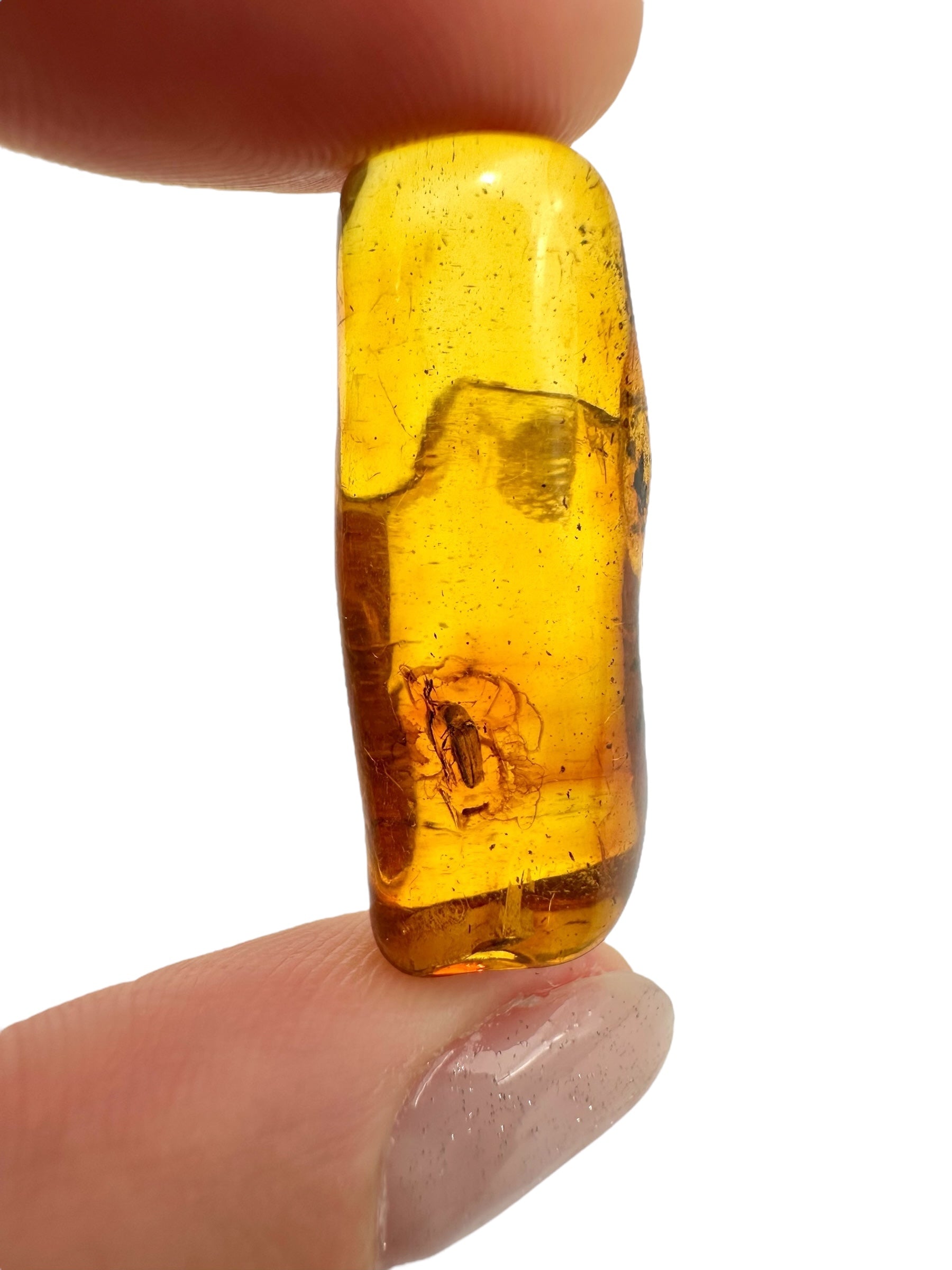 Insects in amber 2,5g – Lithuania