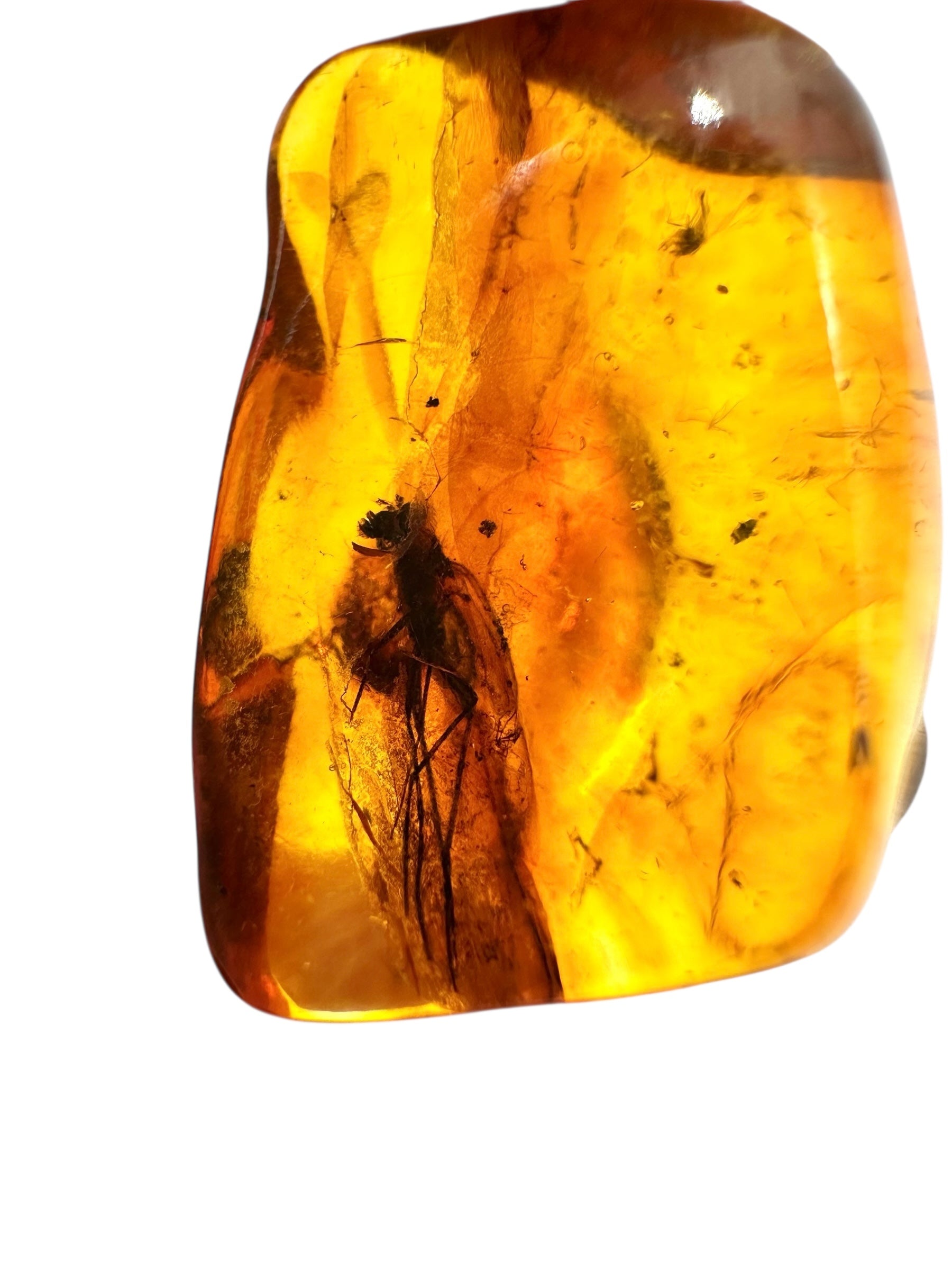 Insects in amber 1,9g – Lithuania - IJ139
