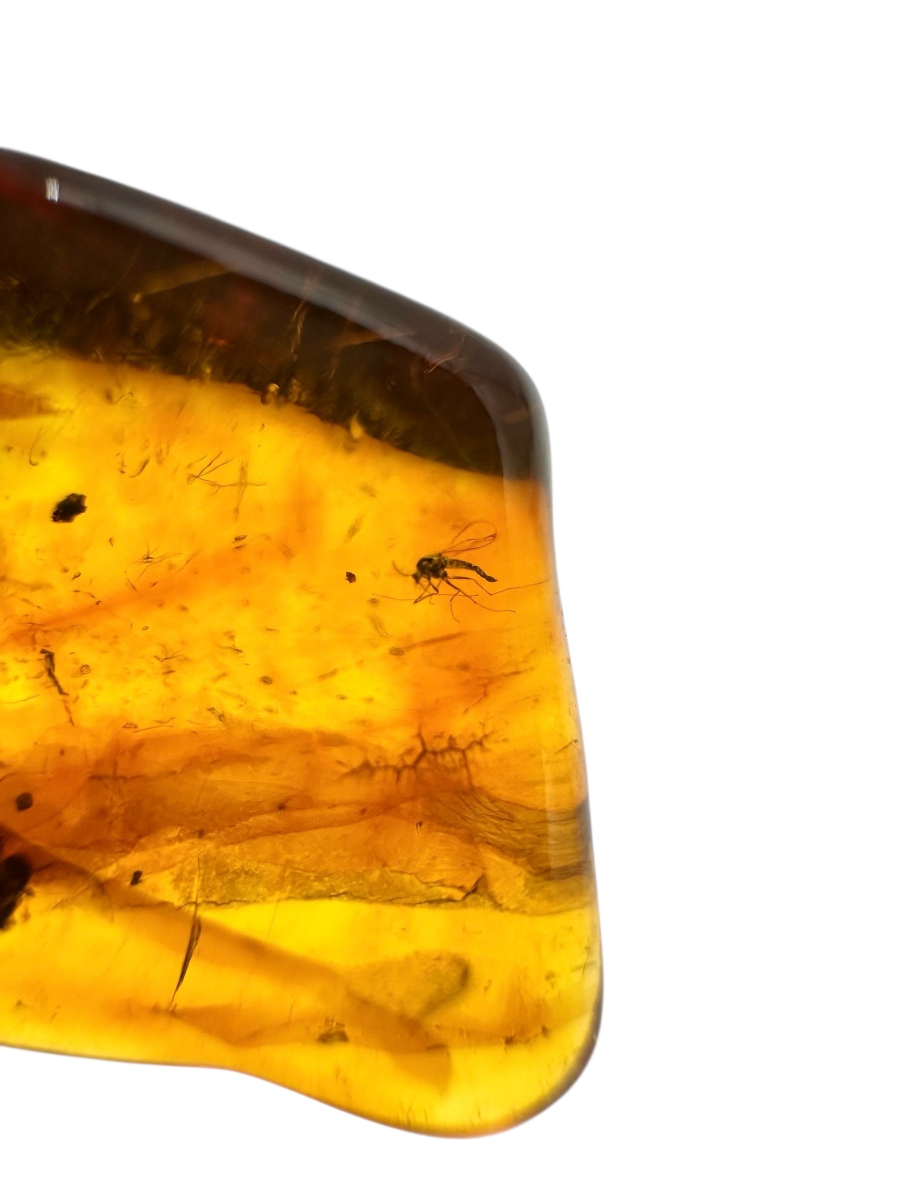 Insects in amber 1,9g – Lithuania - IJ139