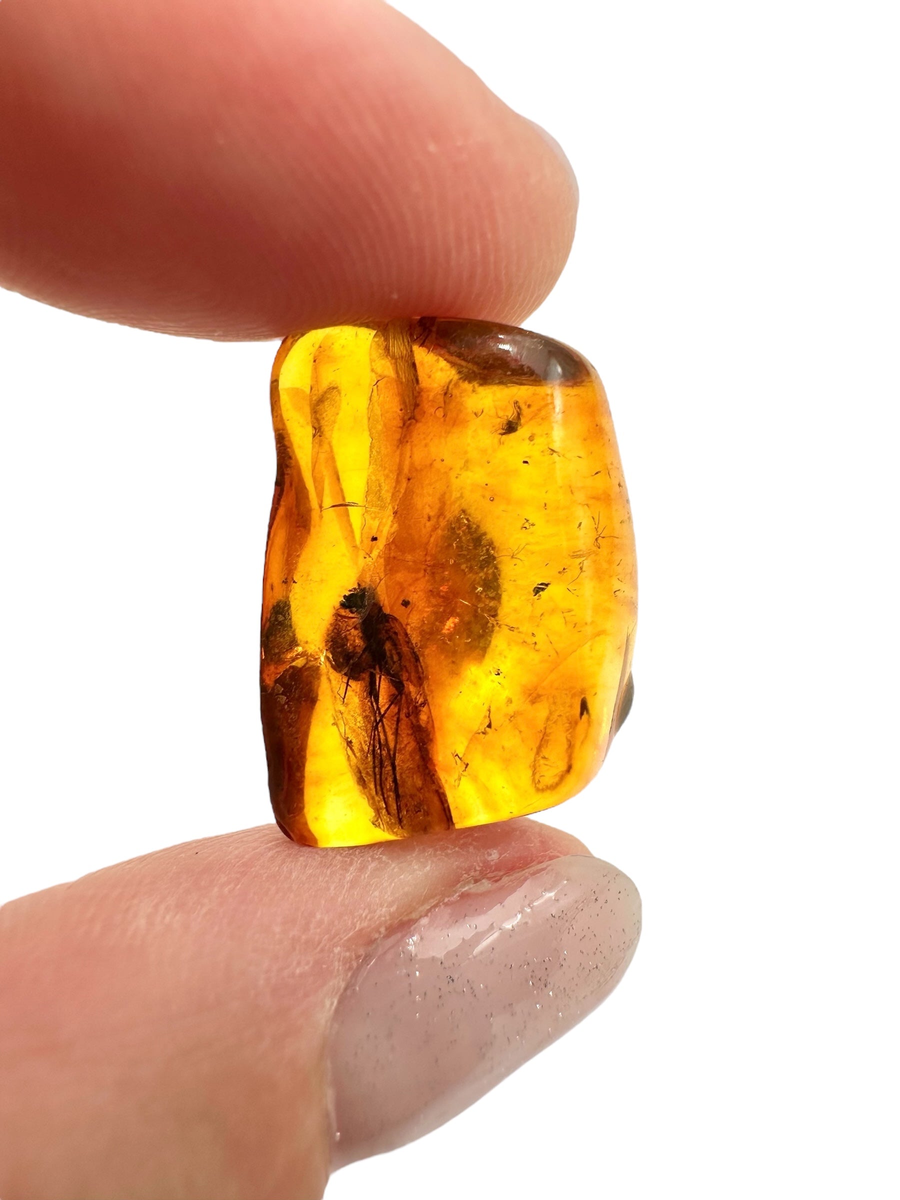 Insects in amber 1,9g – Lithuania - IJ139