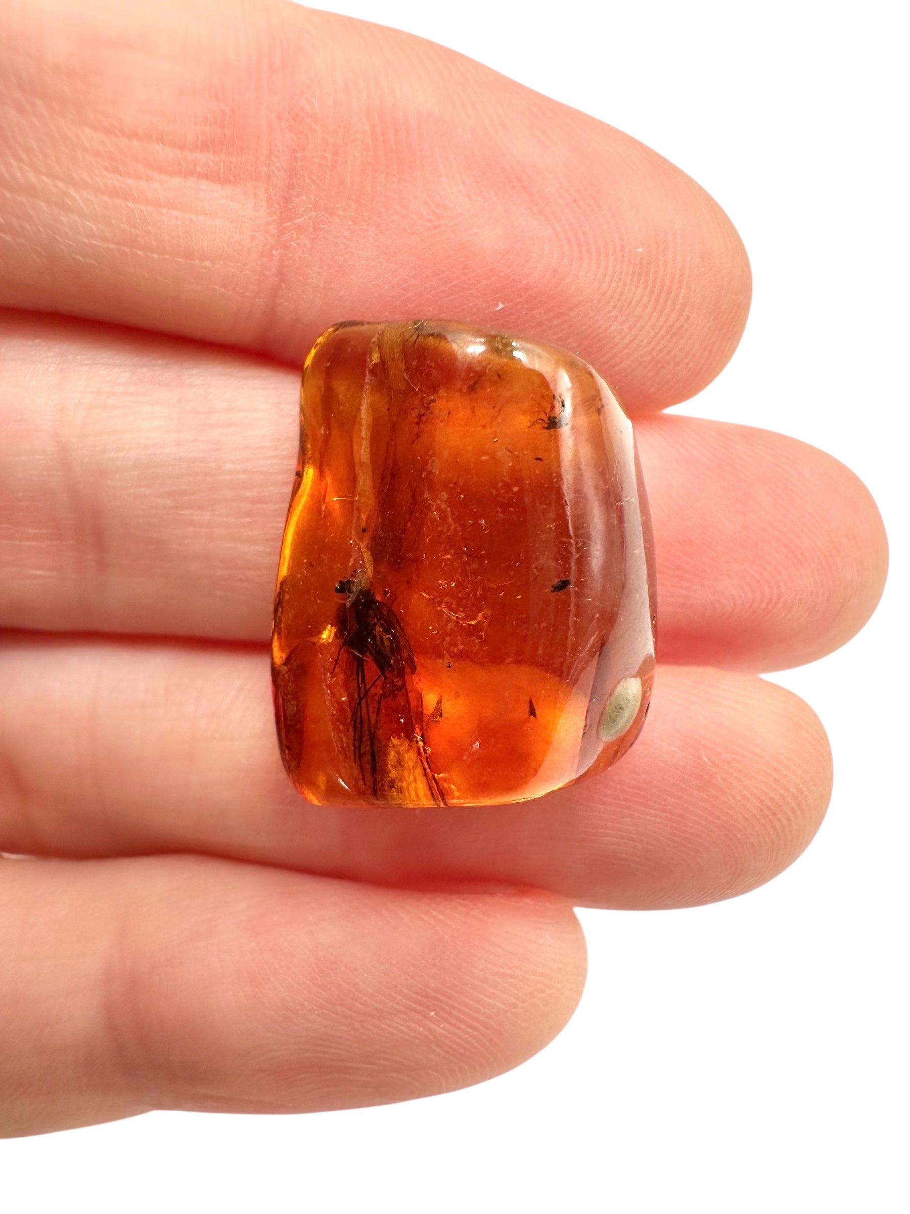 Insects in amber 1,9g – Lithuania - IJ139