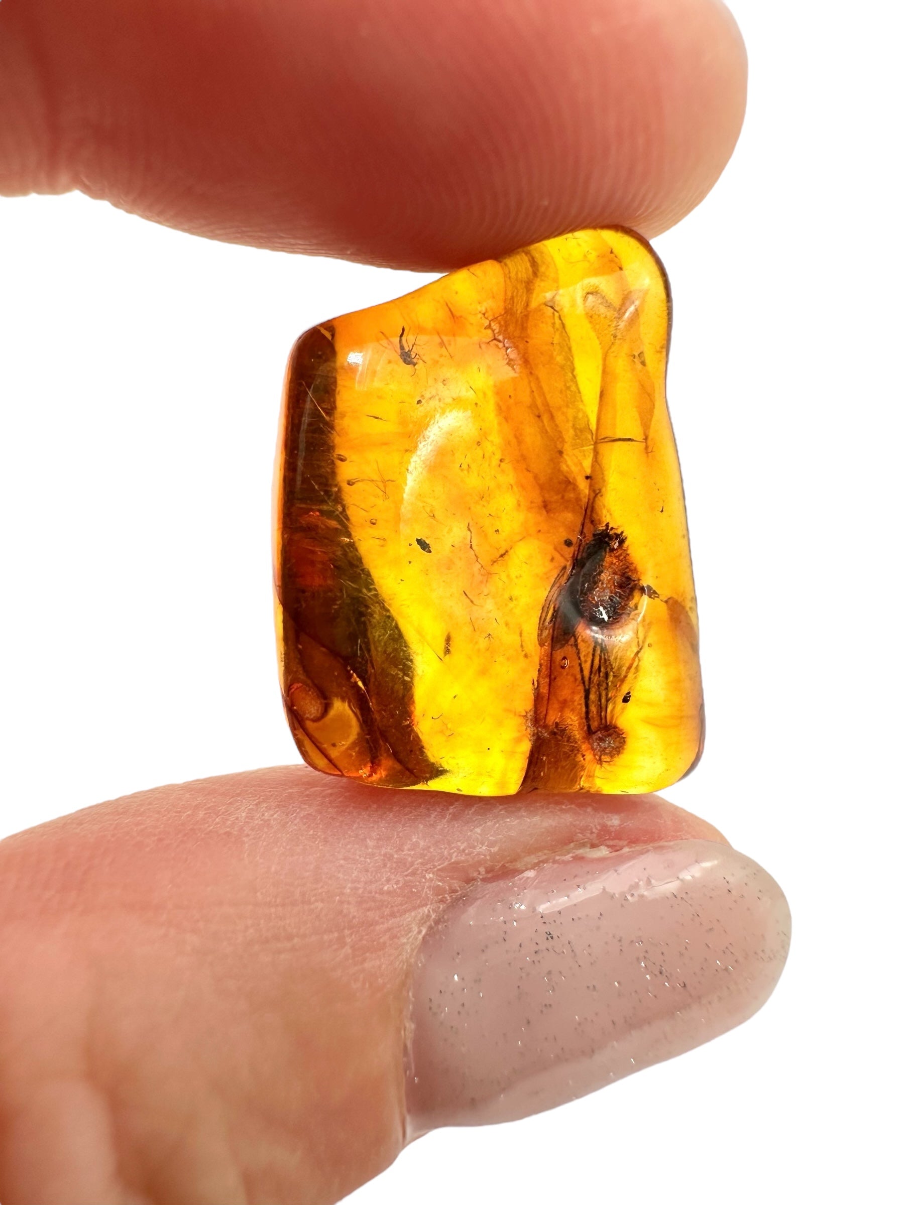 Insects in amber 1,9g – Lithuania