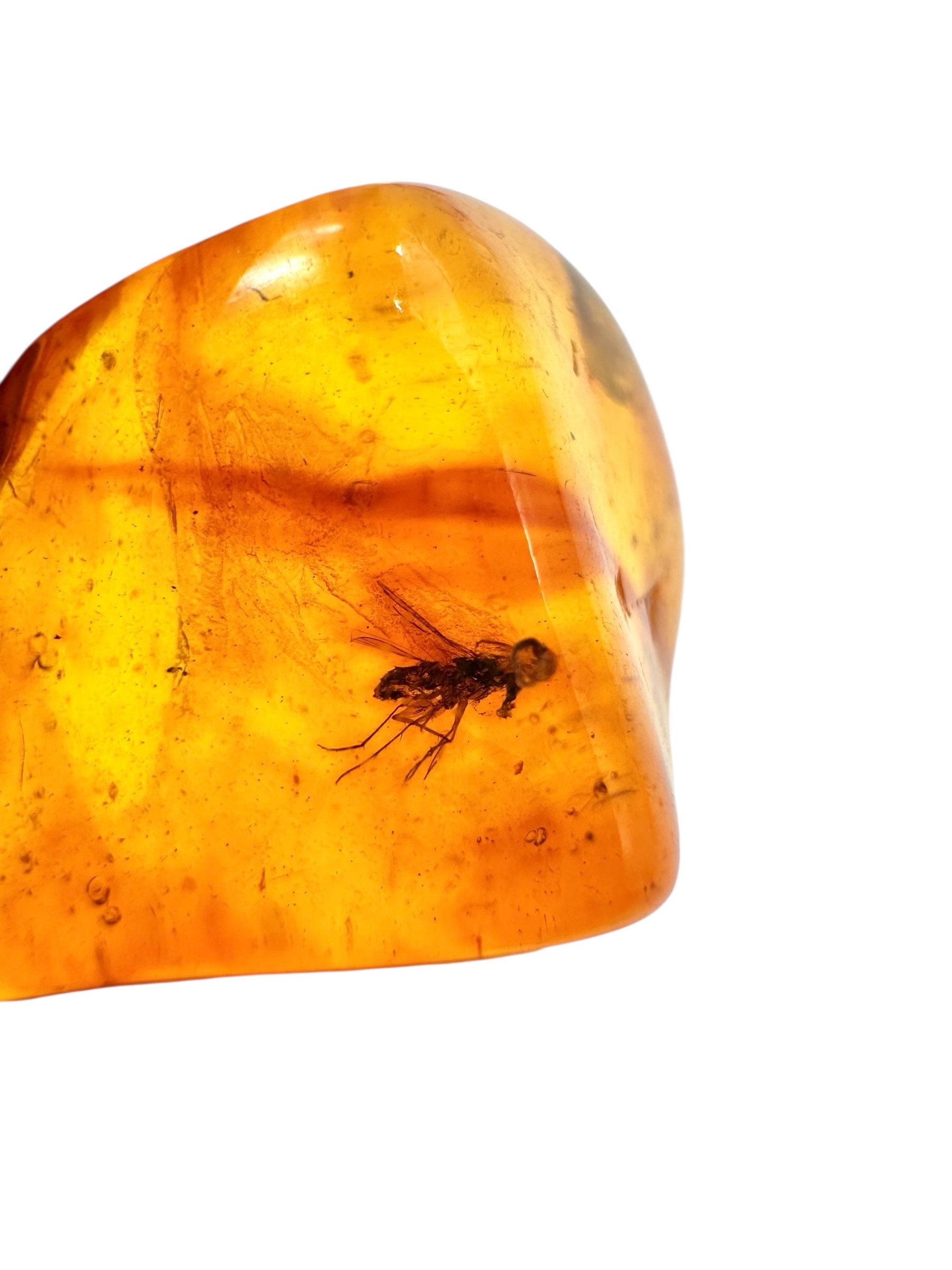 Insects in amber 2,1g – Lithuania - IJ140