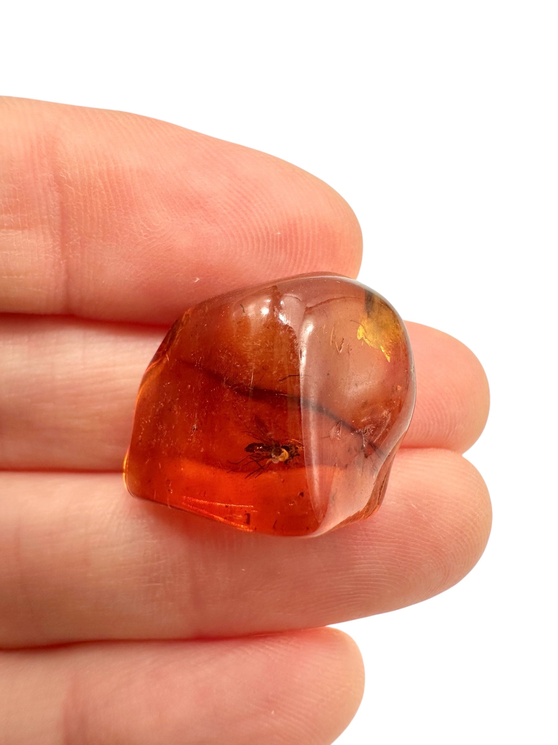 Insects in amber 2,1g – Lithuania - IJ140