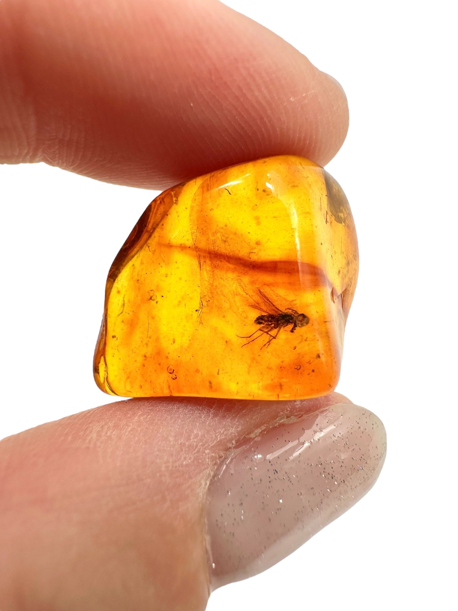 Insects in amber 2,1g – Lithuania