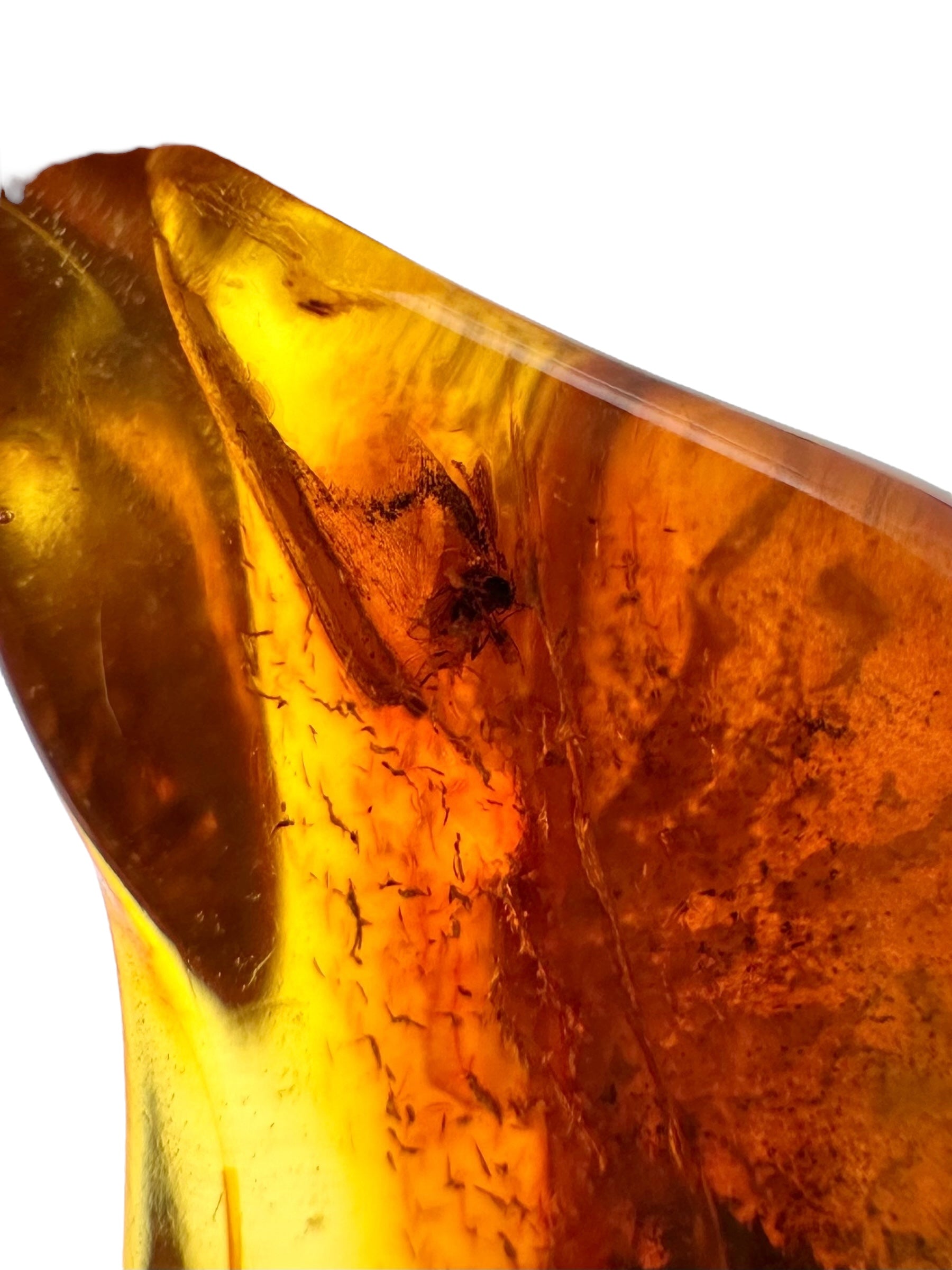 Insects in amber 2g – Lithuania - IJ147