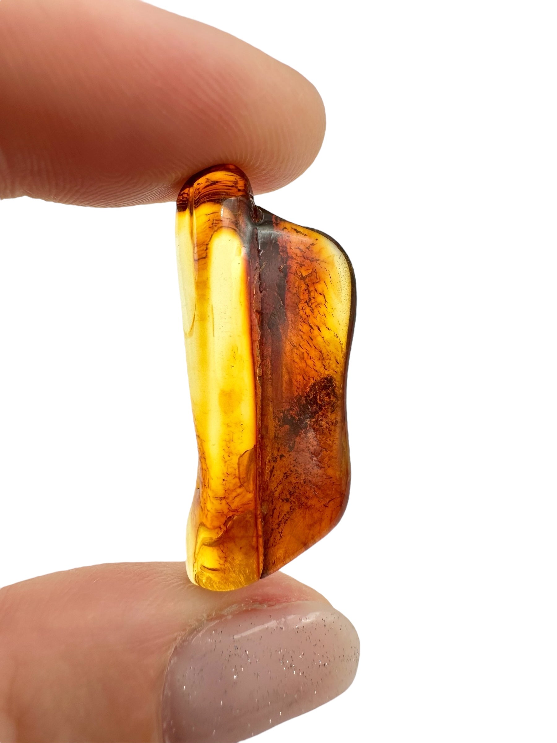 Insects in amber 2g – Lithuania - IJ147