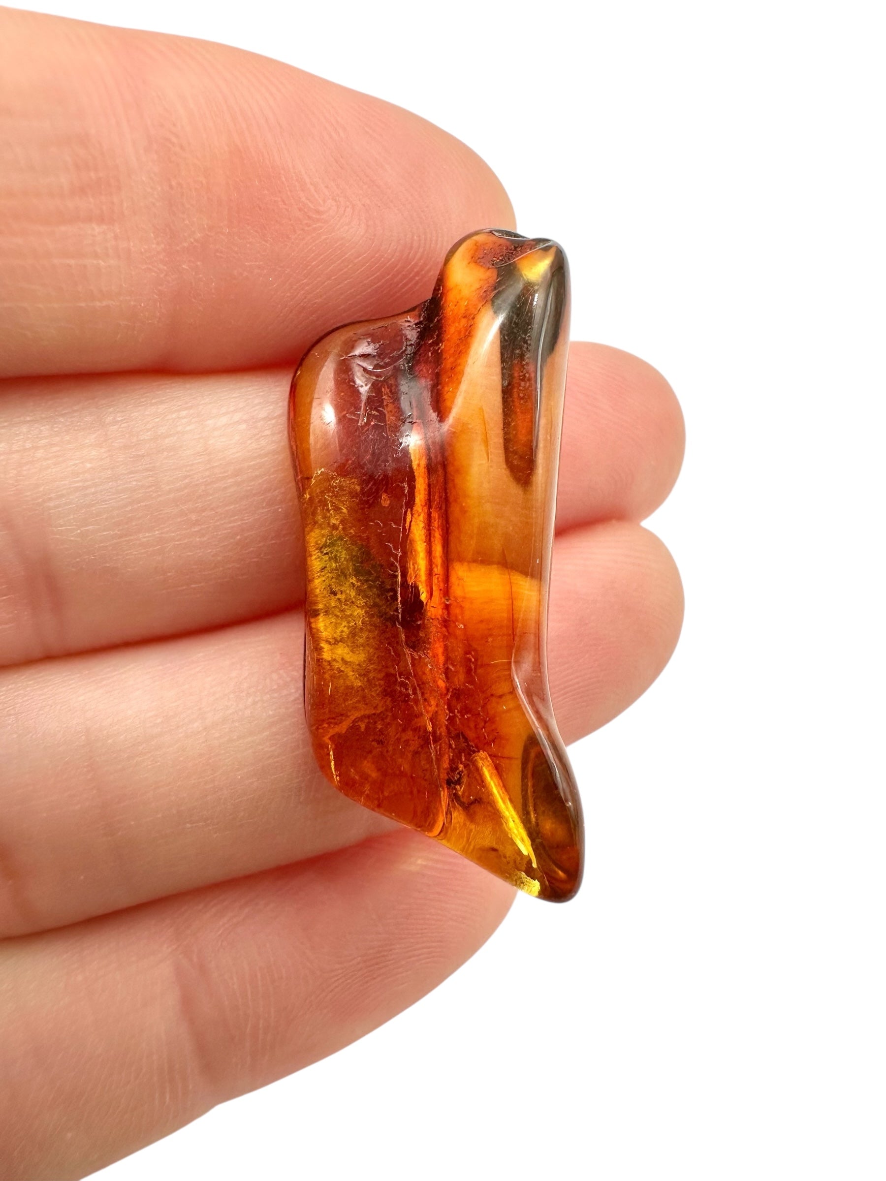 Insects in amber 2g – Lithuania - IJ147