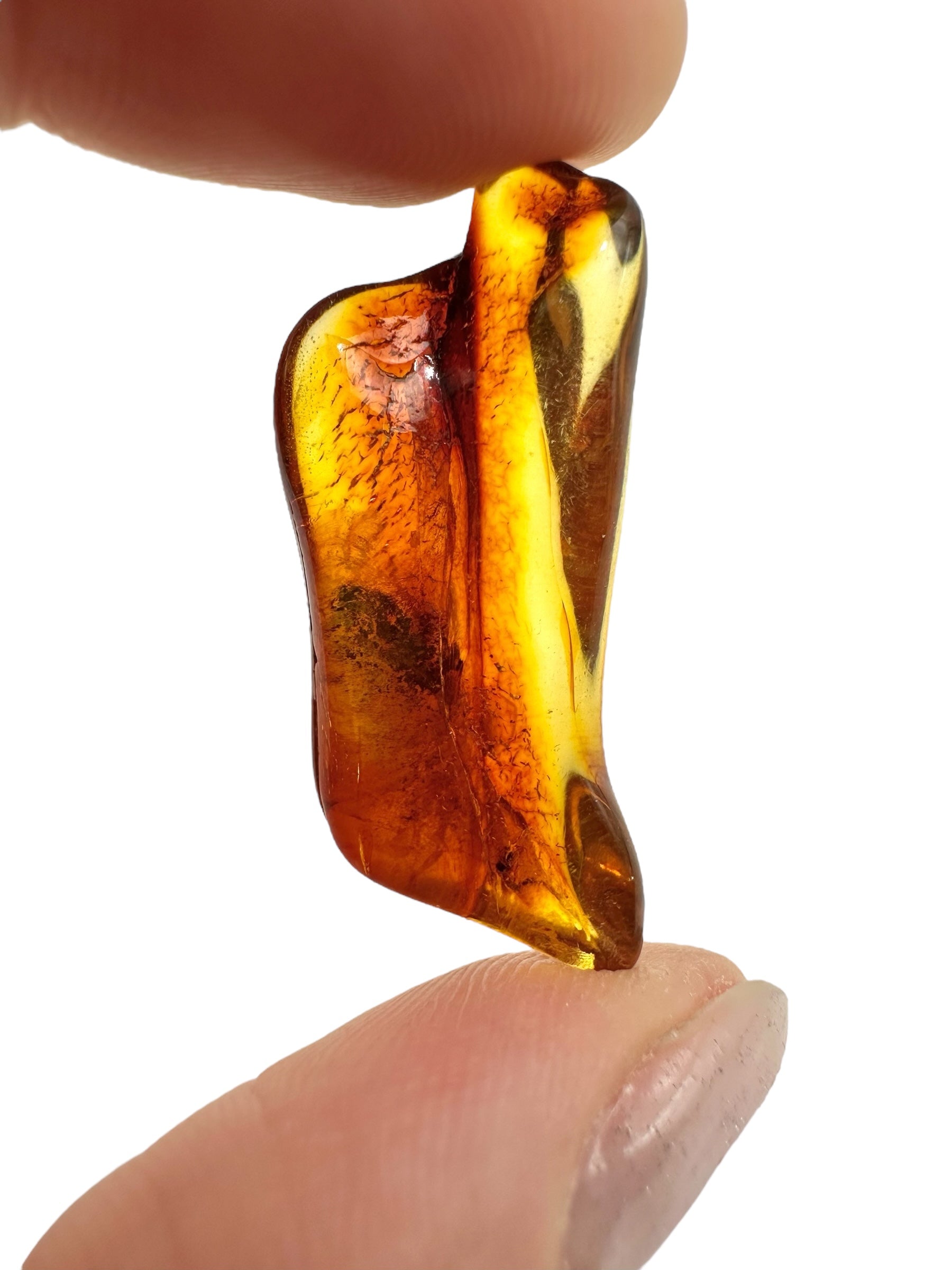 Insects in amber 2g – Lithuania