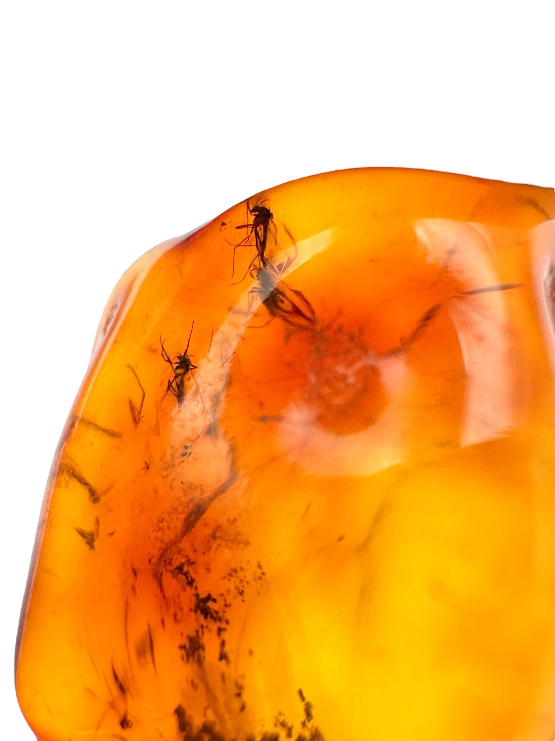 Insects in amber 1,6g – Lithuania - IJ148