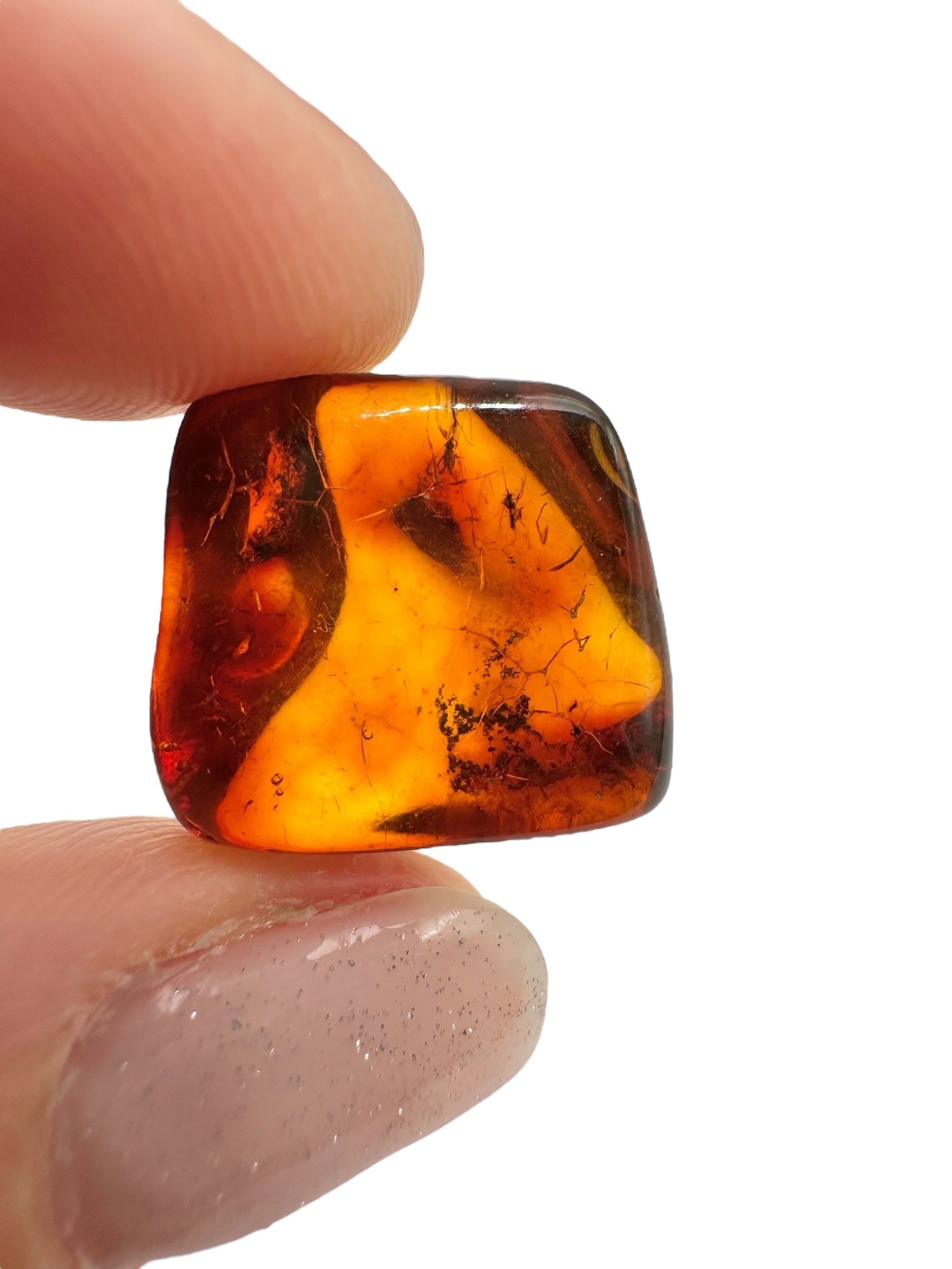 Insects in amber 1,6g – Lithuania - IJ148