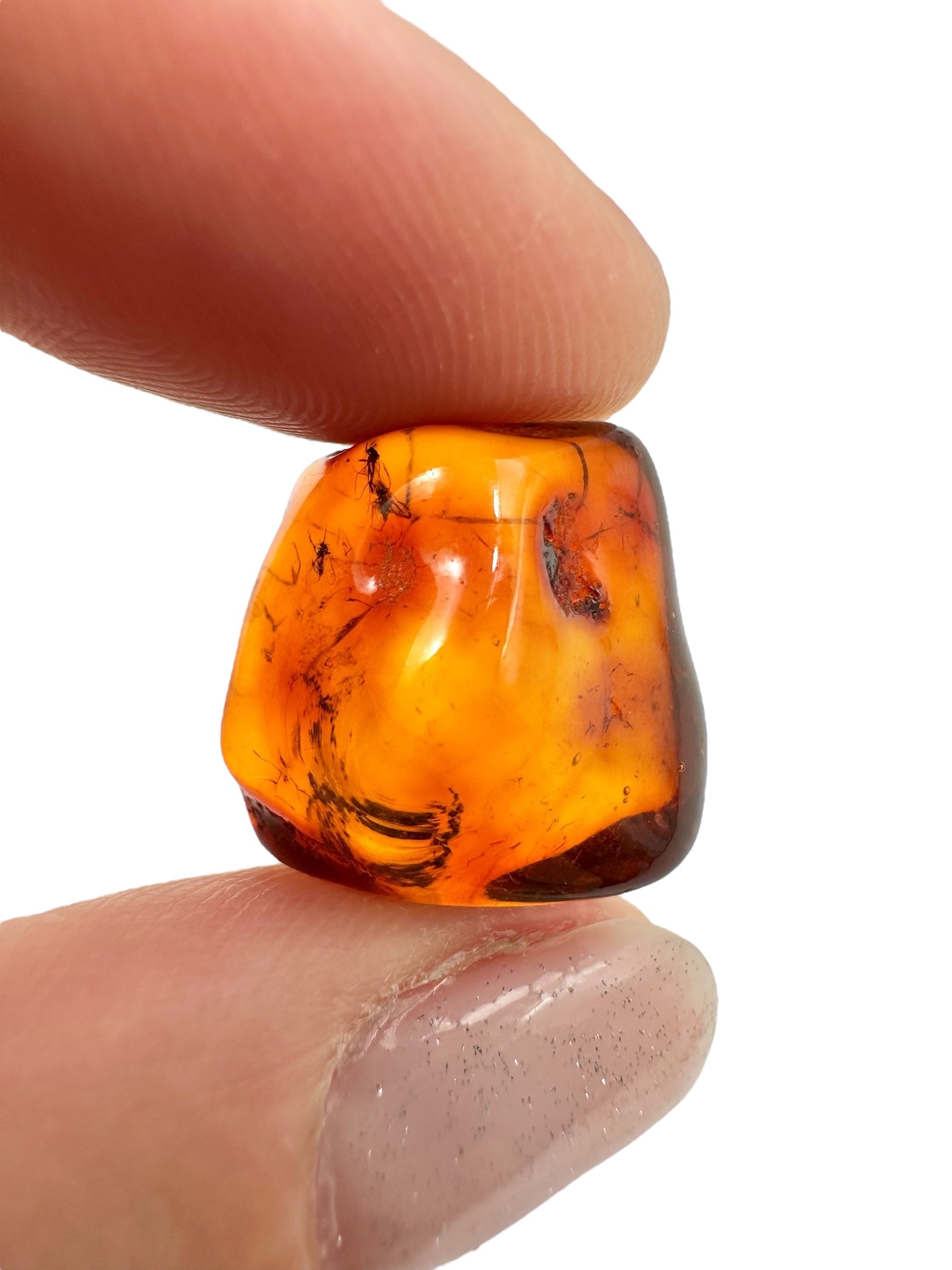 Insects in amber 1,6g – Lithuania