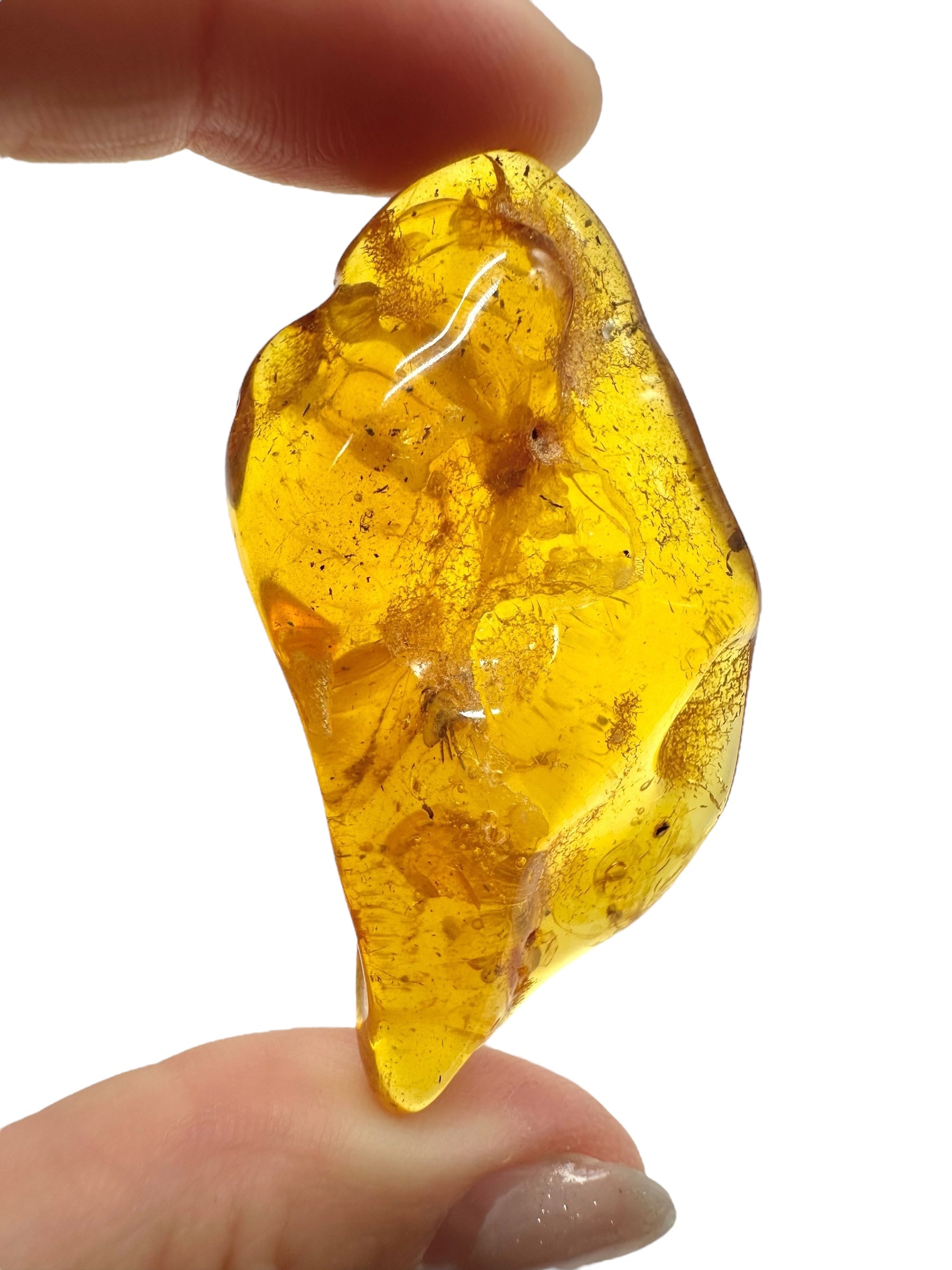 Insects in amber – Lithuania – 10,6g