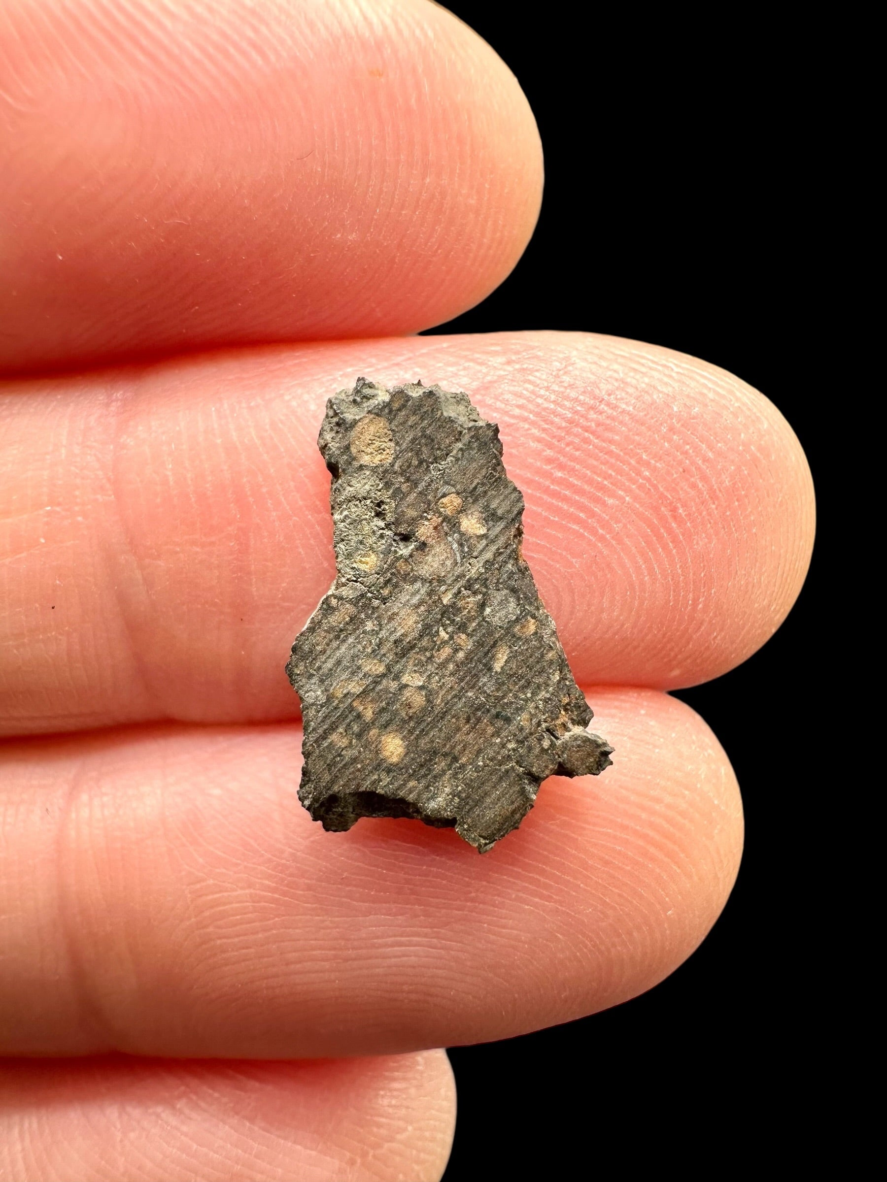 Meteorite Erg Chech 003 – 0,3g – Algeria - MEECH40