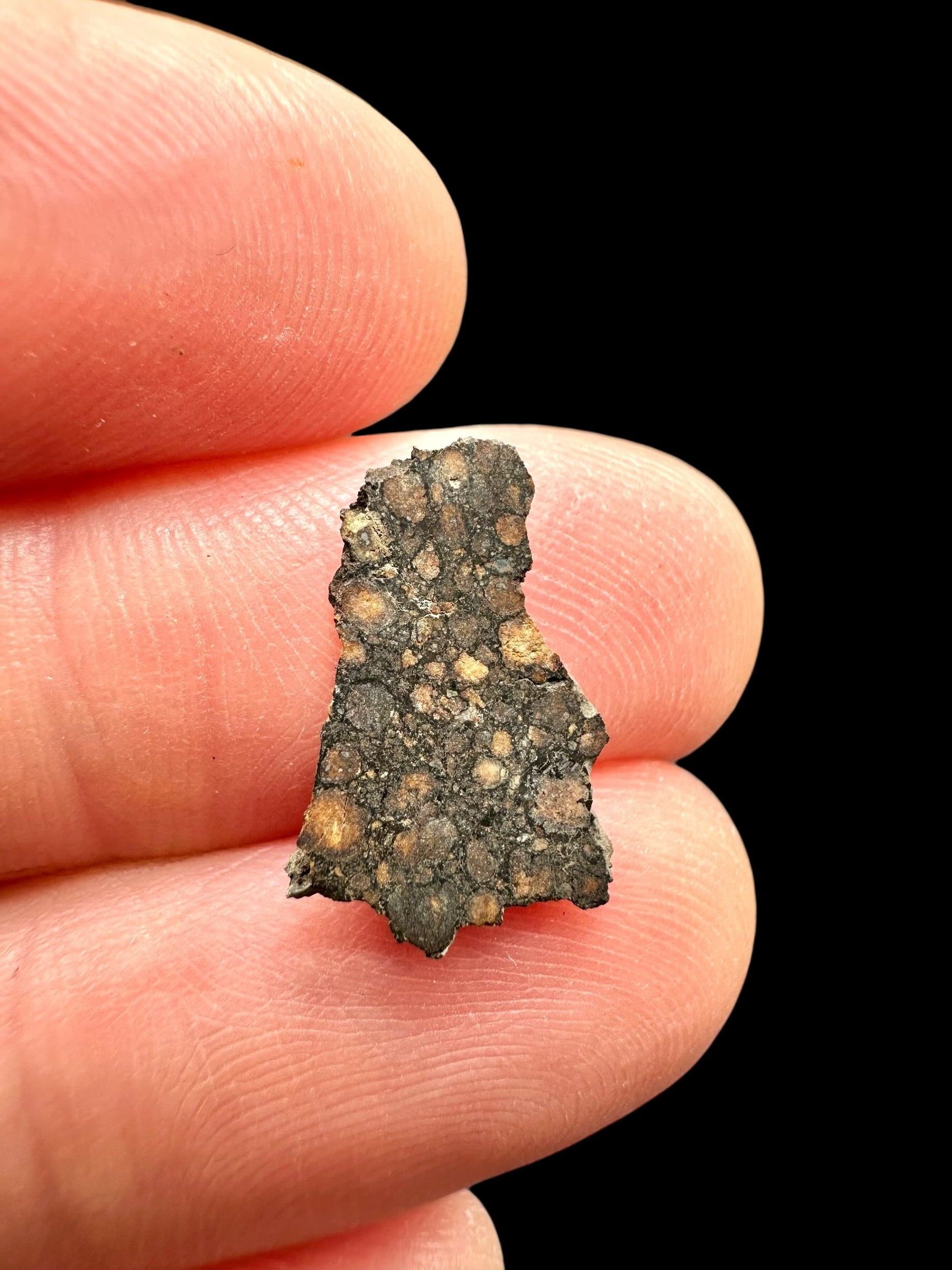 Meteorite Erg Chech 003 – 0,3g – Algeria - MEECH40