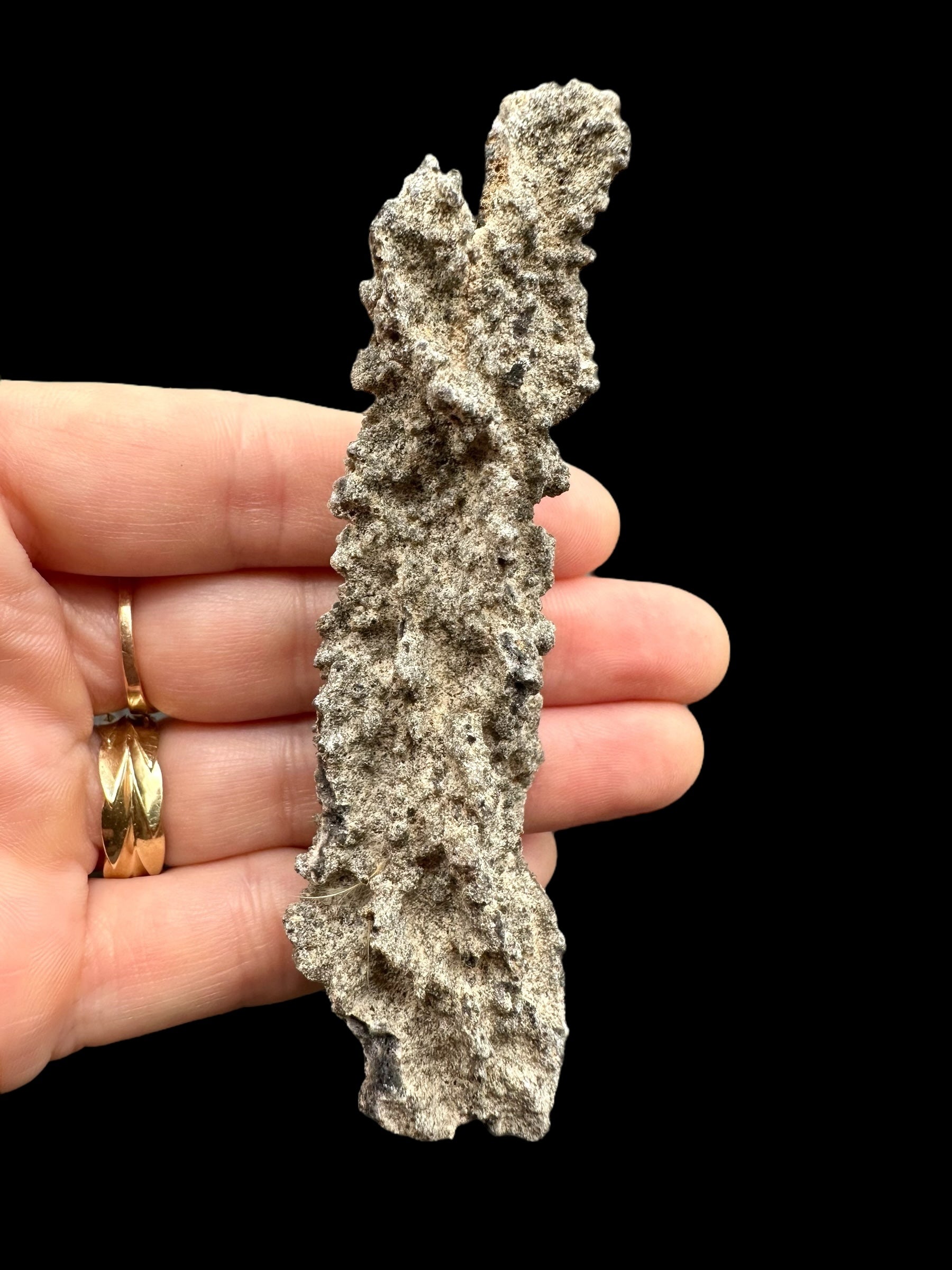 Fulgurite 16,1g – Libyan desert, Egypt - FU103