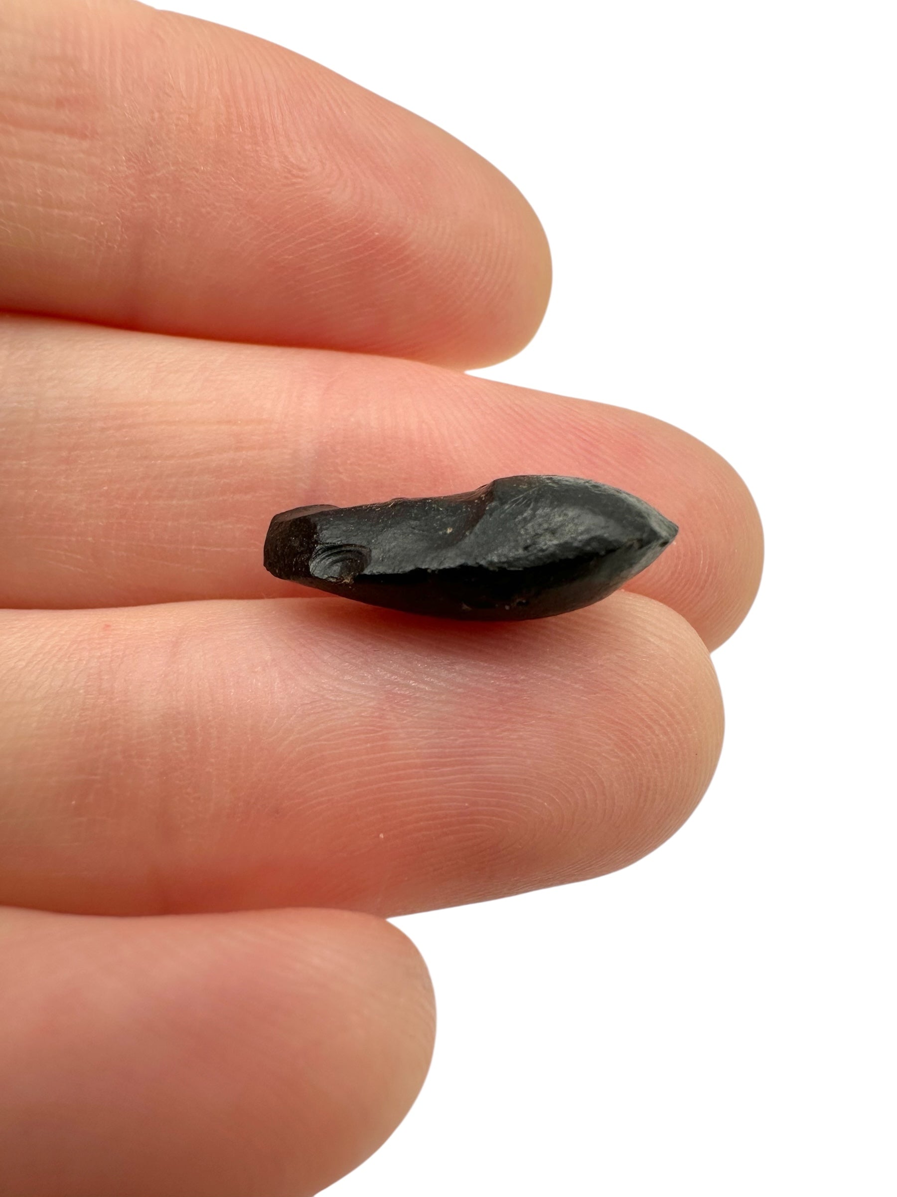 Australite "button" 0,8g – Kalgoorlie, Western Australia - AU064
