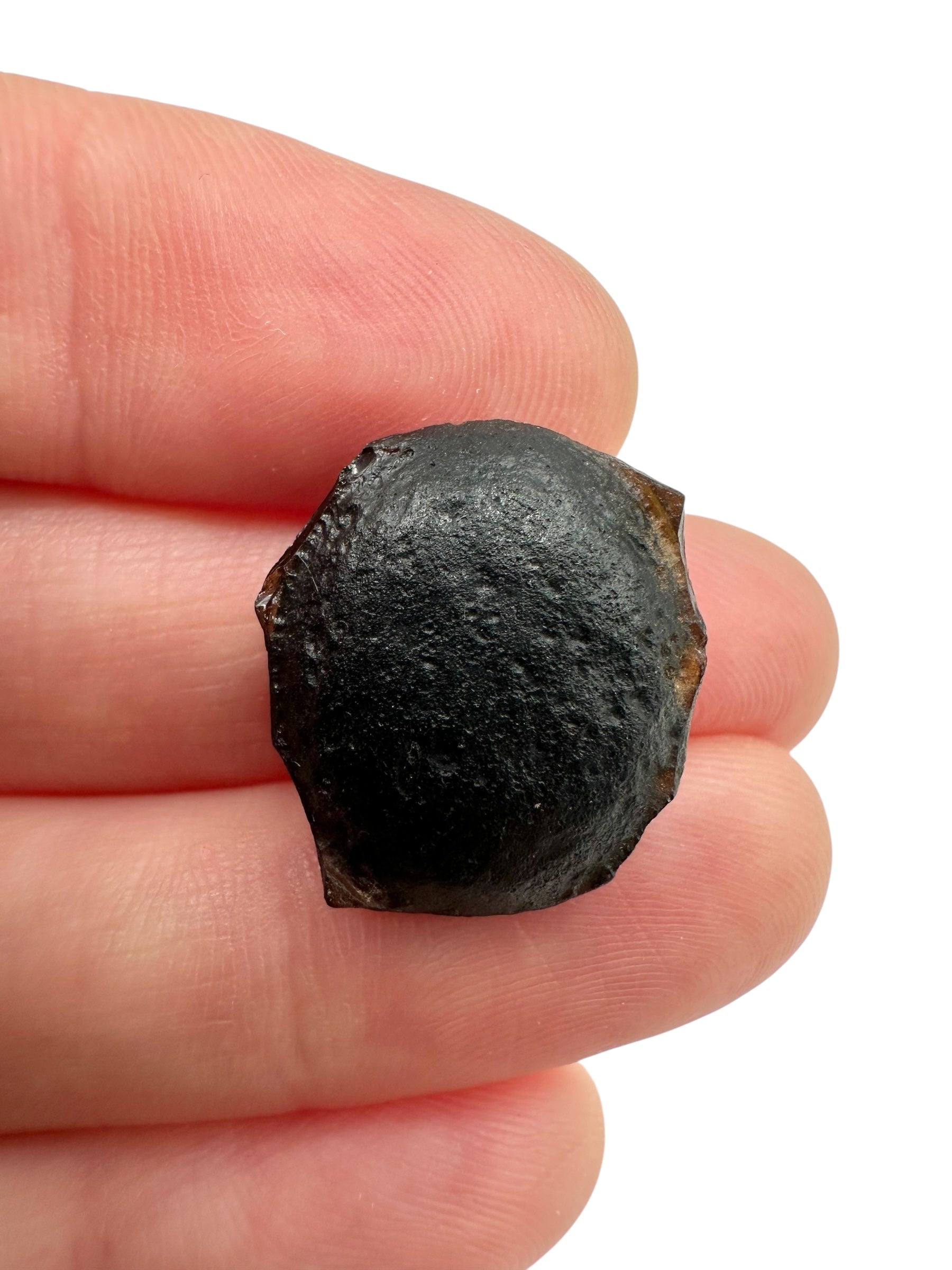 Australite "button" 2,5g – Kalgoorlie, Western Australia - AU066