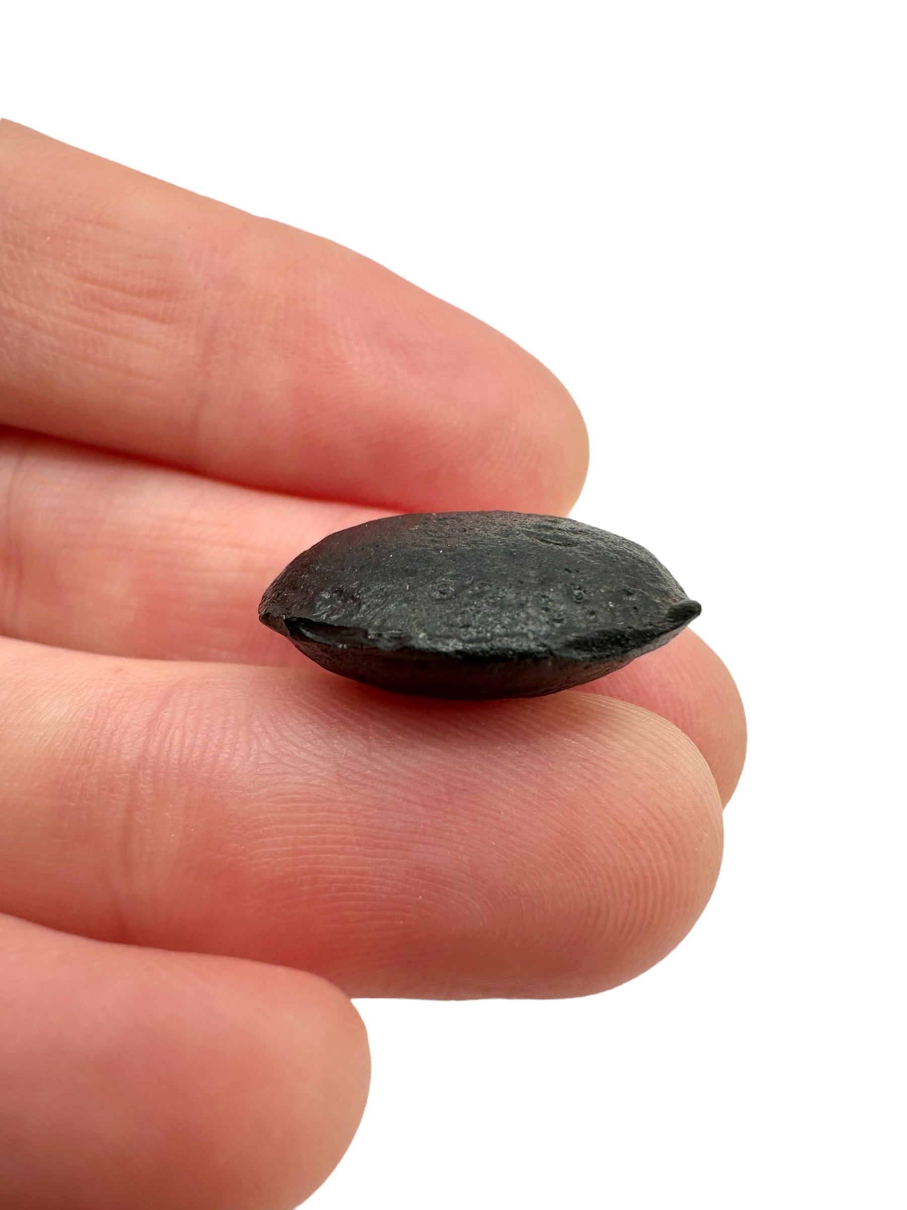 Australite "button" 2,5g – Kalgoorlie, Western Australia - AU066
