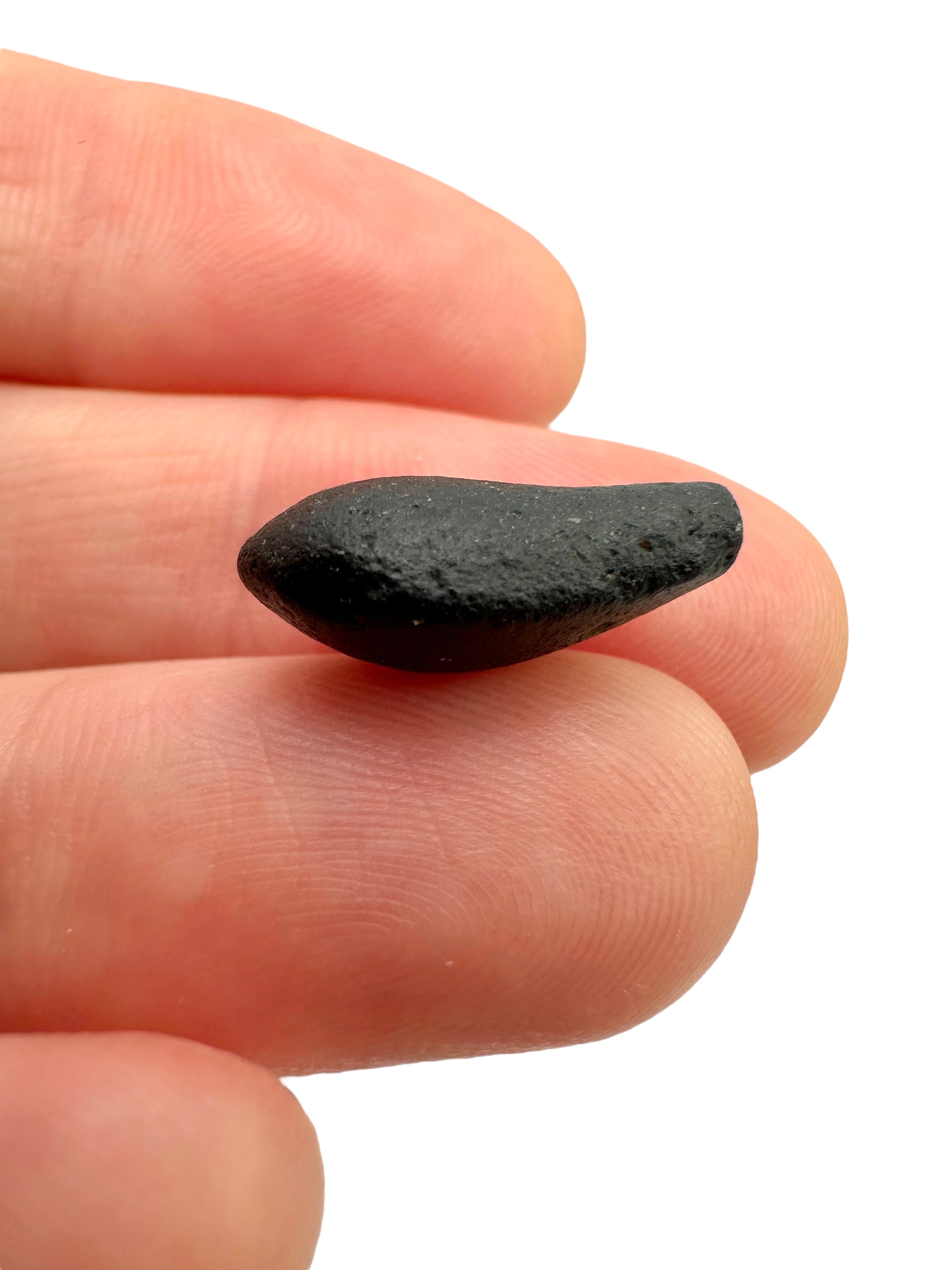 Australite "button" 1g – Kalgoorlie, Western Australia - AU068