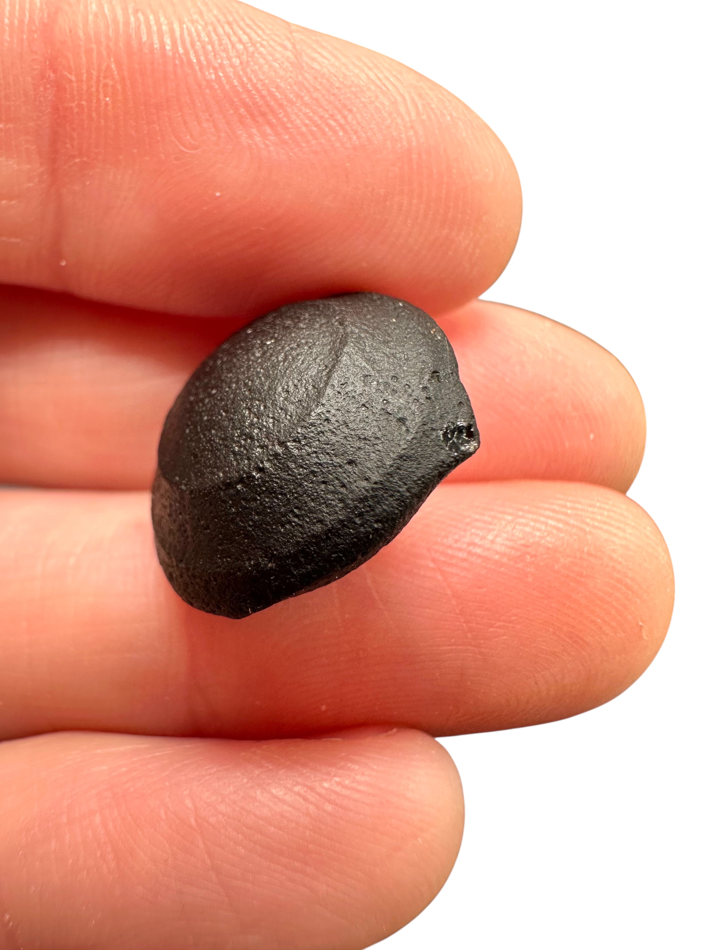 Australite "button" 2,8g – Kalgoorlie, Western Australia - AU070