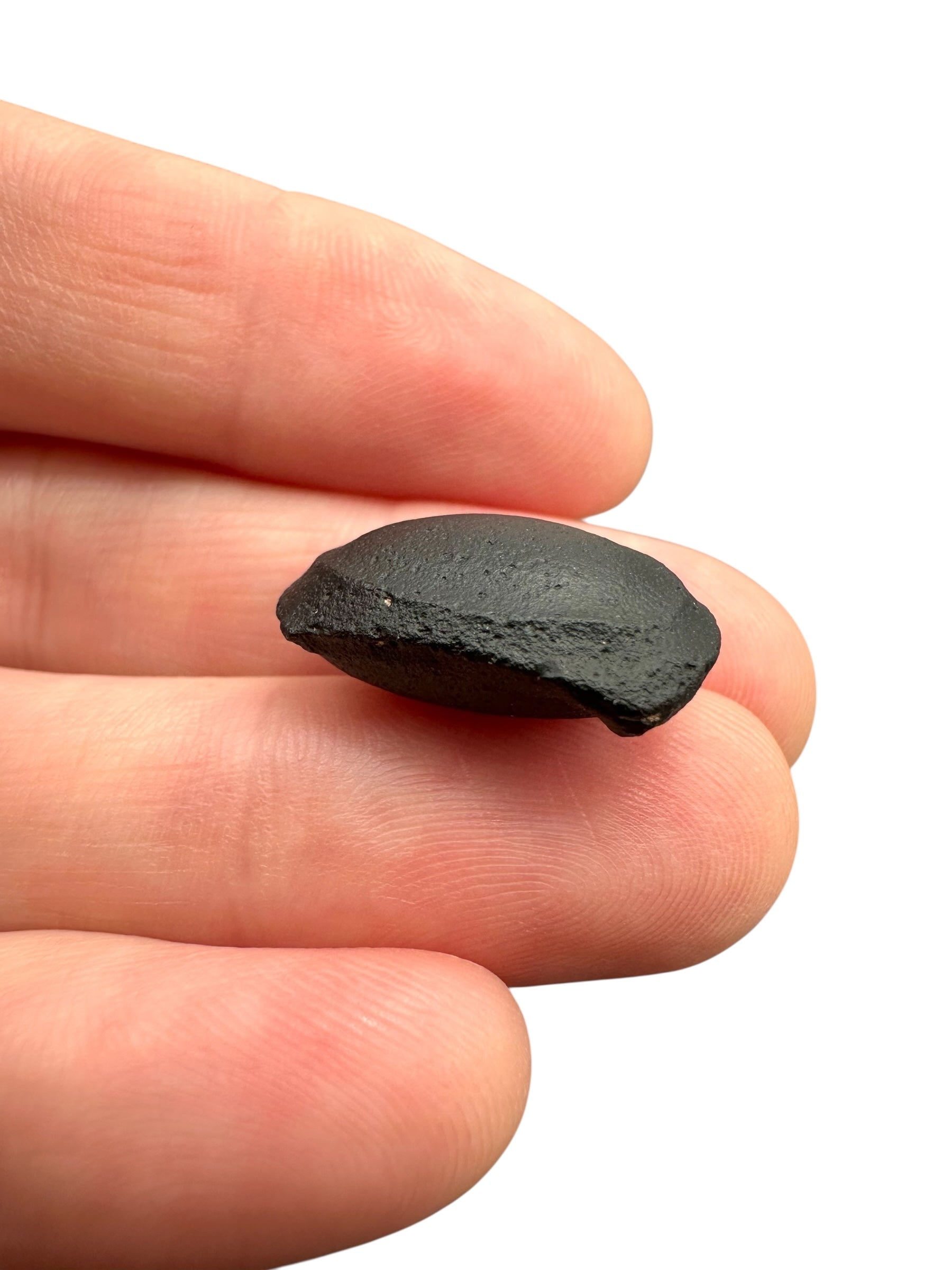Australite "button" 2,4g – Kalgoorlie, Western Australia - AU073