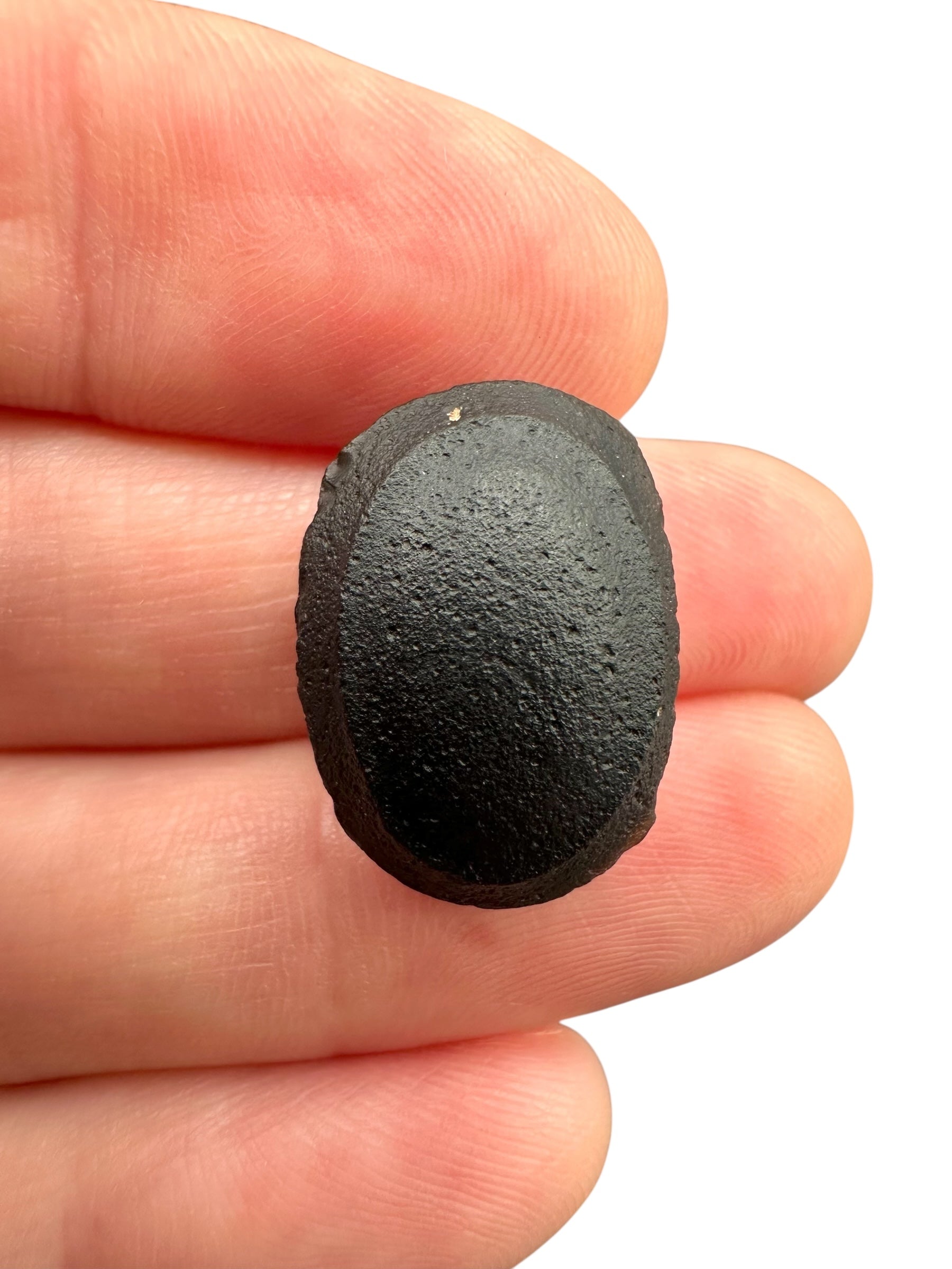 Australite "button" 2,4g – Kalgoorlie, Western Australia