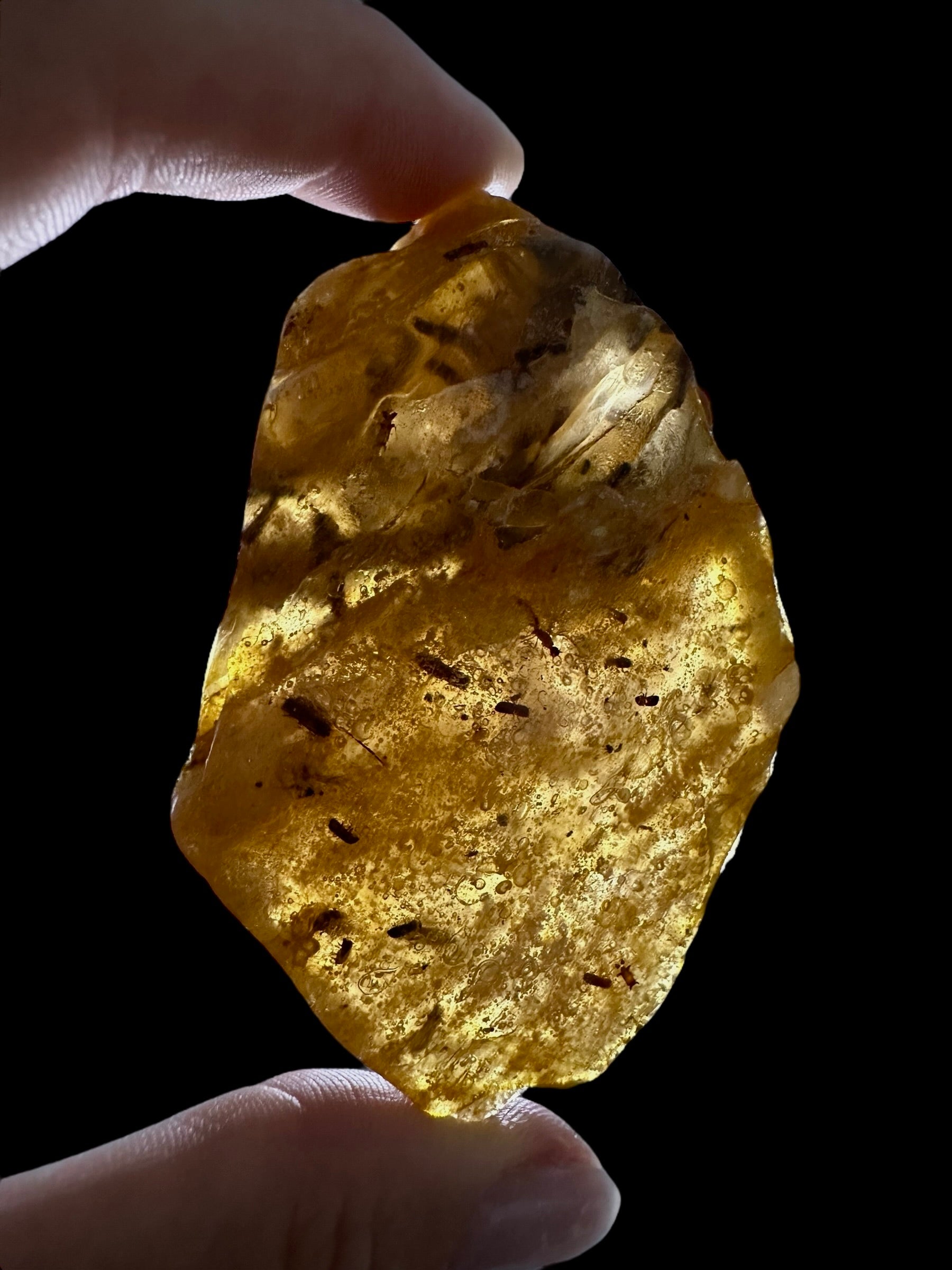 Insects in young amber (copal) 28,5g – Colombia - IK02