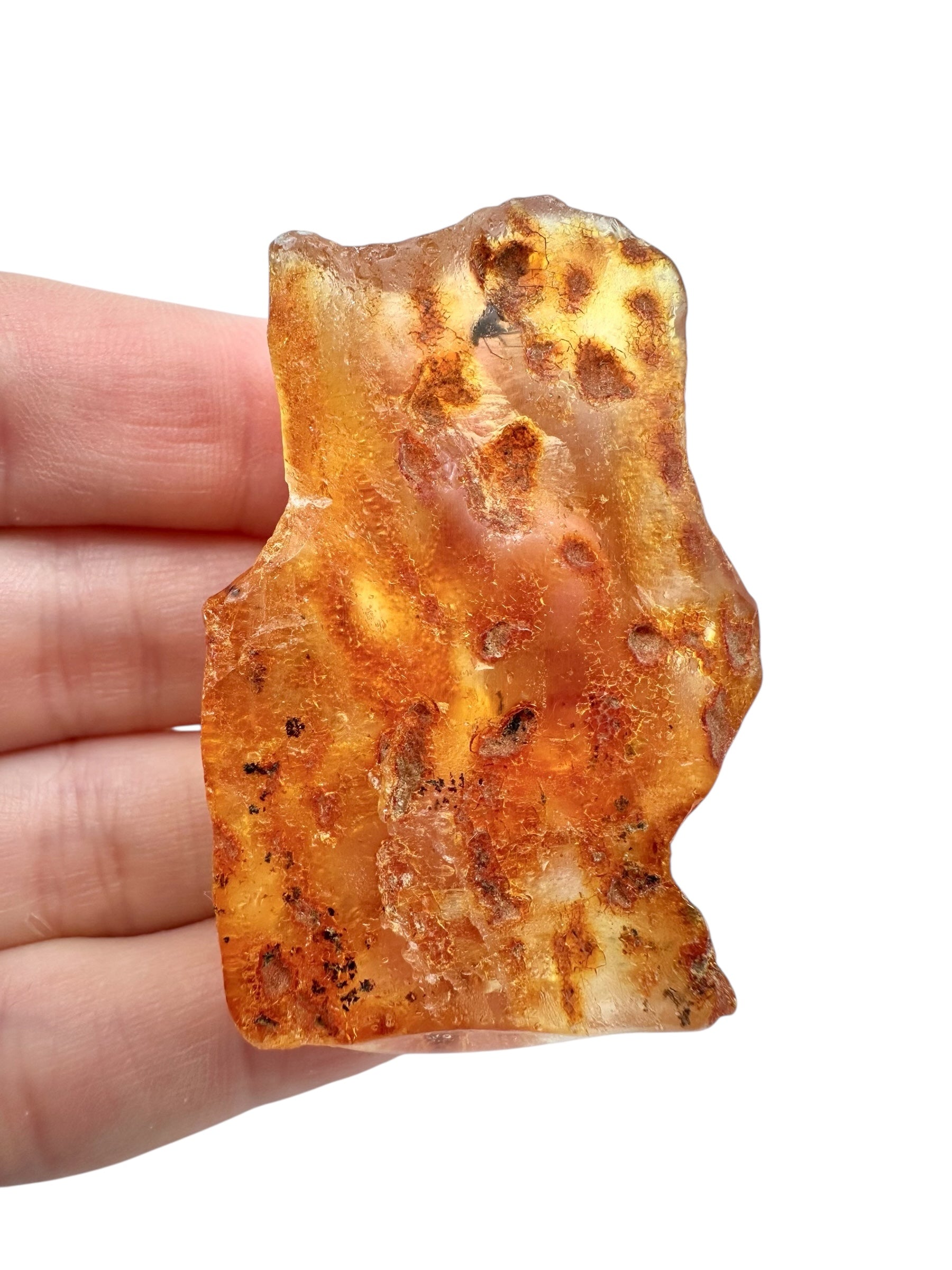 Insects in young amber (copal) 14,4g – Colombia